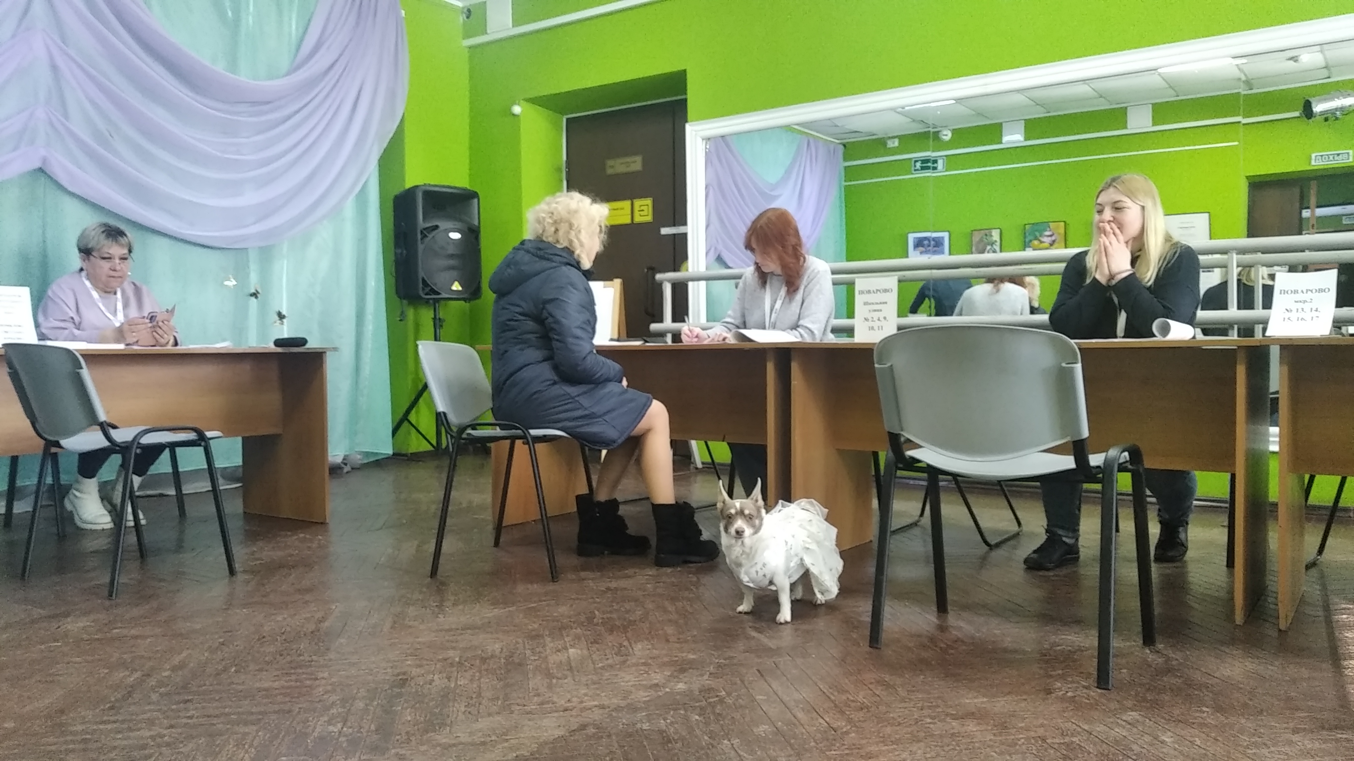 Сообщение наблюдателя — УИК №4095, Московская область