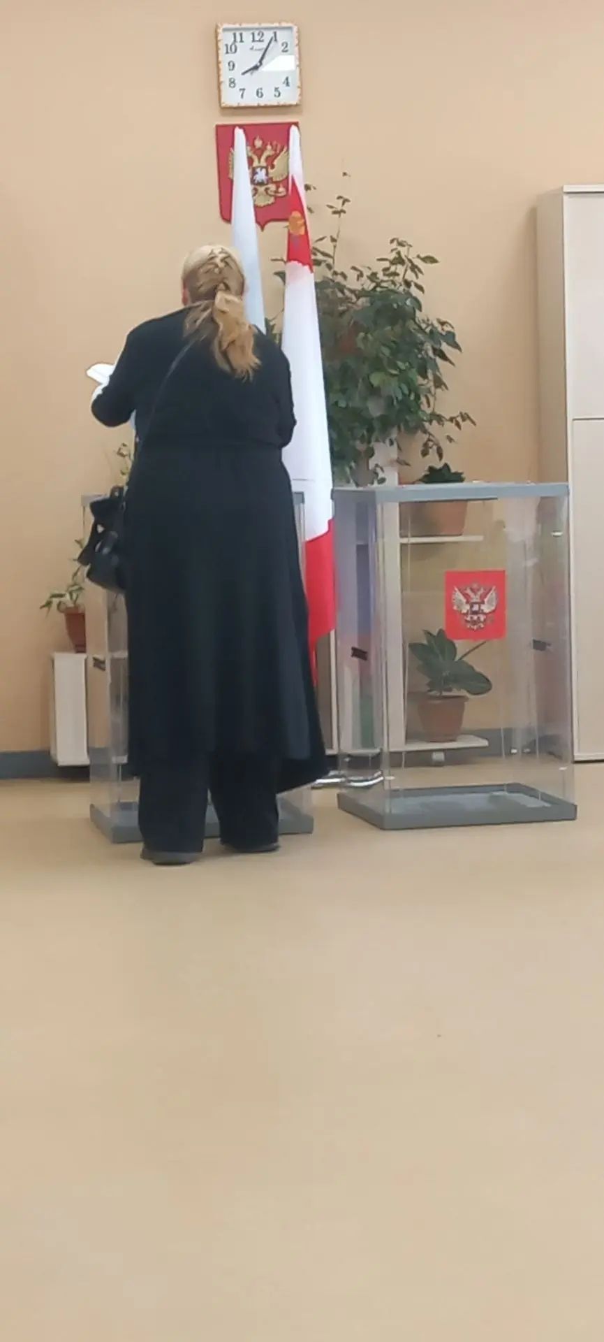 Сообщение — УИК №266, Вологодская область
