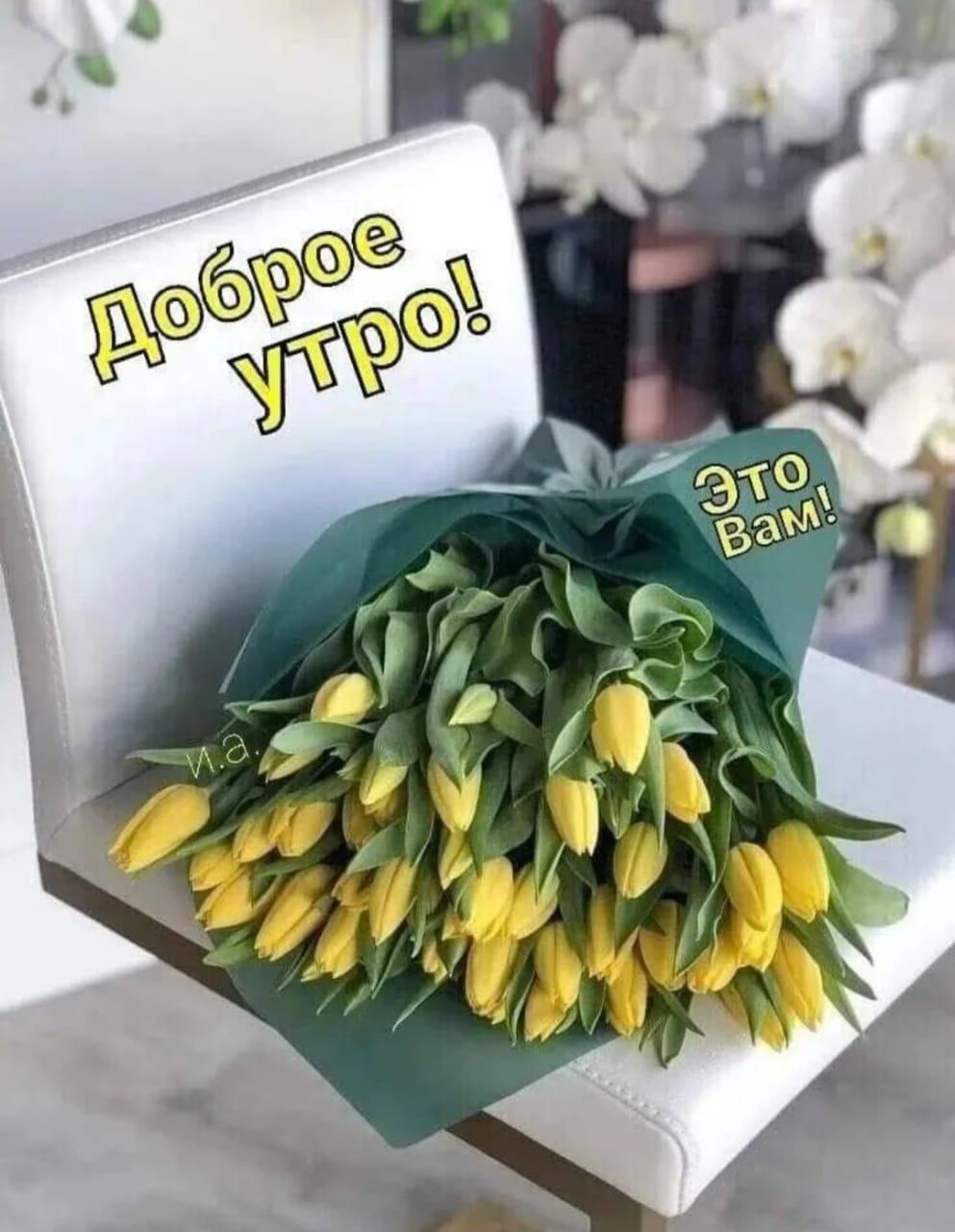 Сообщение наблюдателя — УИК №713, Владимирская область