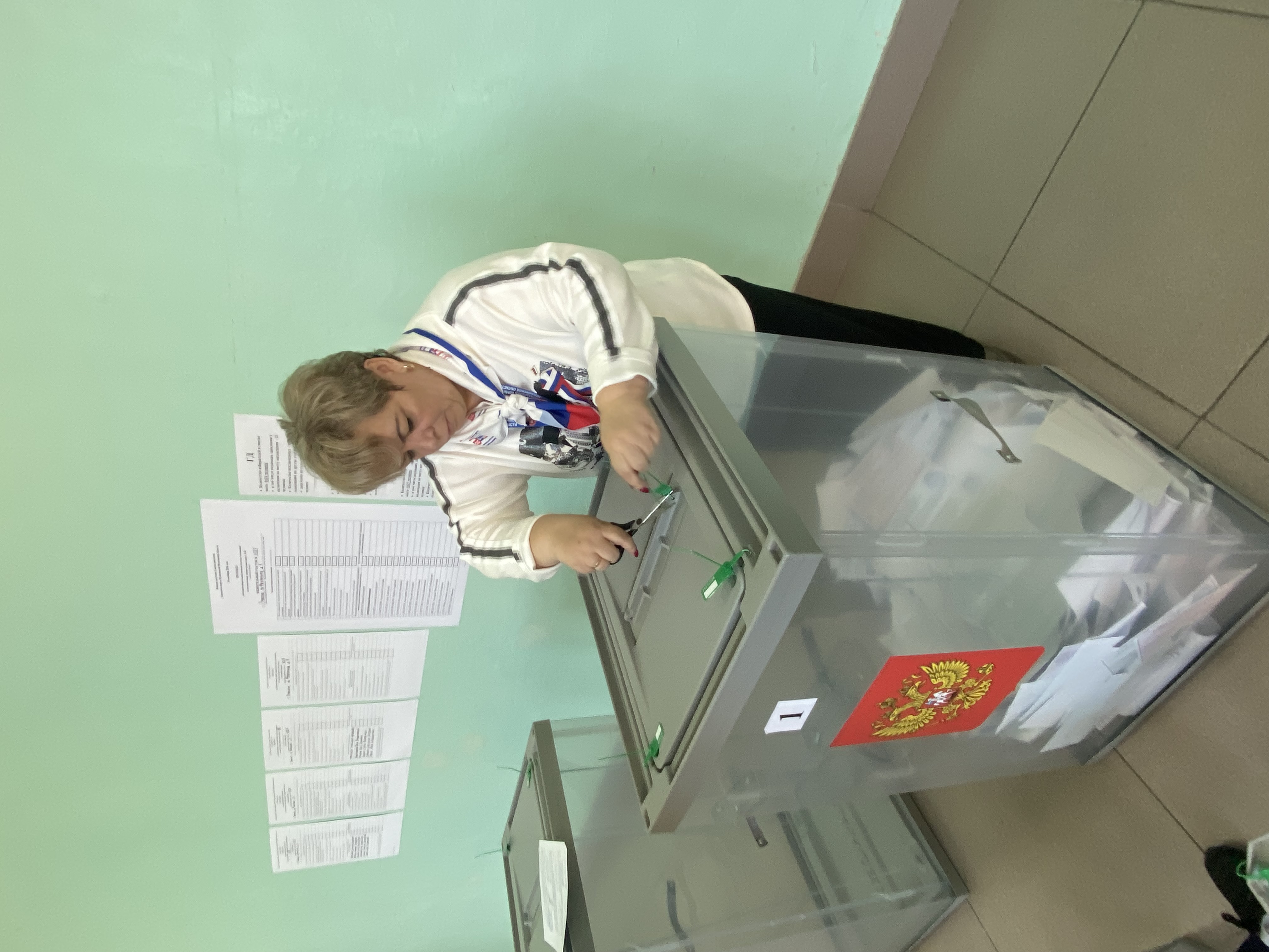 Сообщение — УИК №4027, Московская область