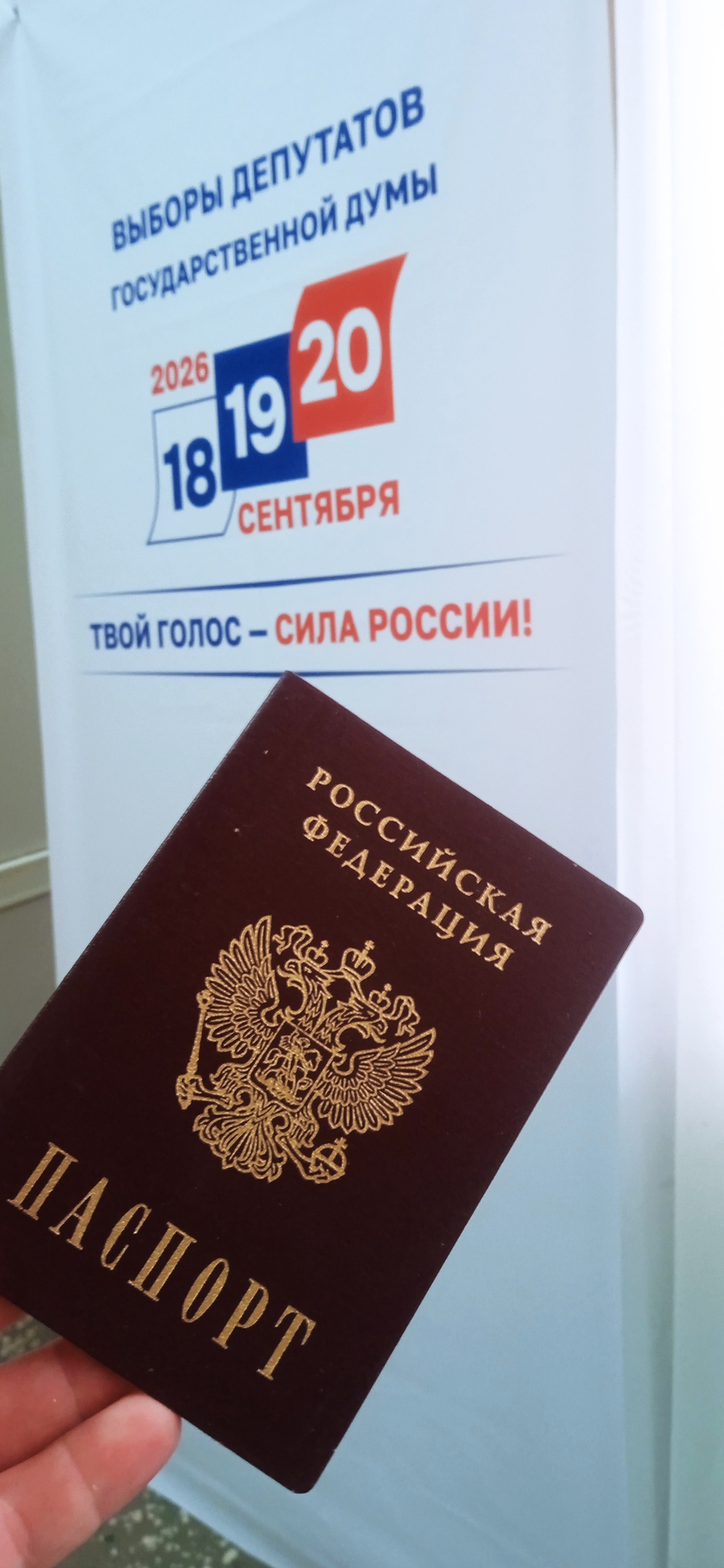 Сообщение — УИК №4806, Краснодарский край