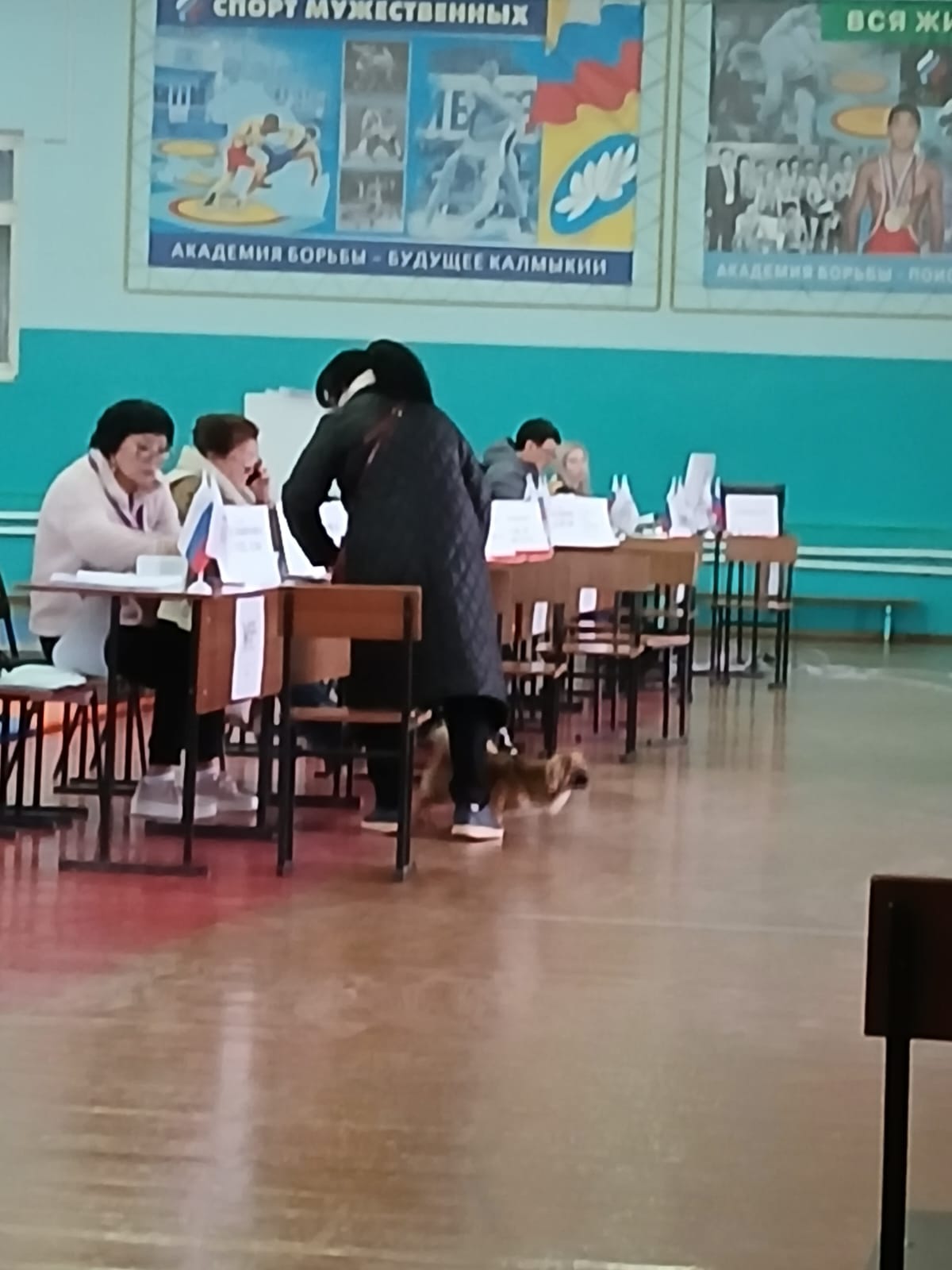 Сообщение наблюдателя — УИК №38, Республика Калмыкия