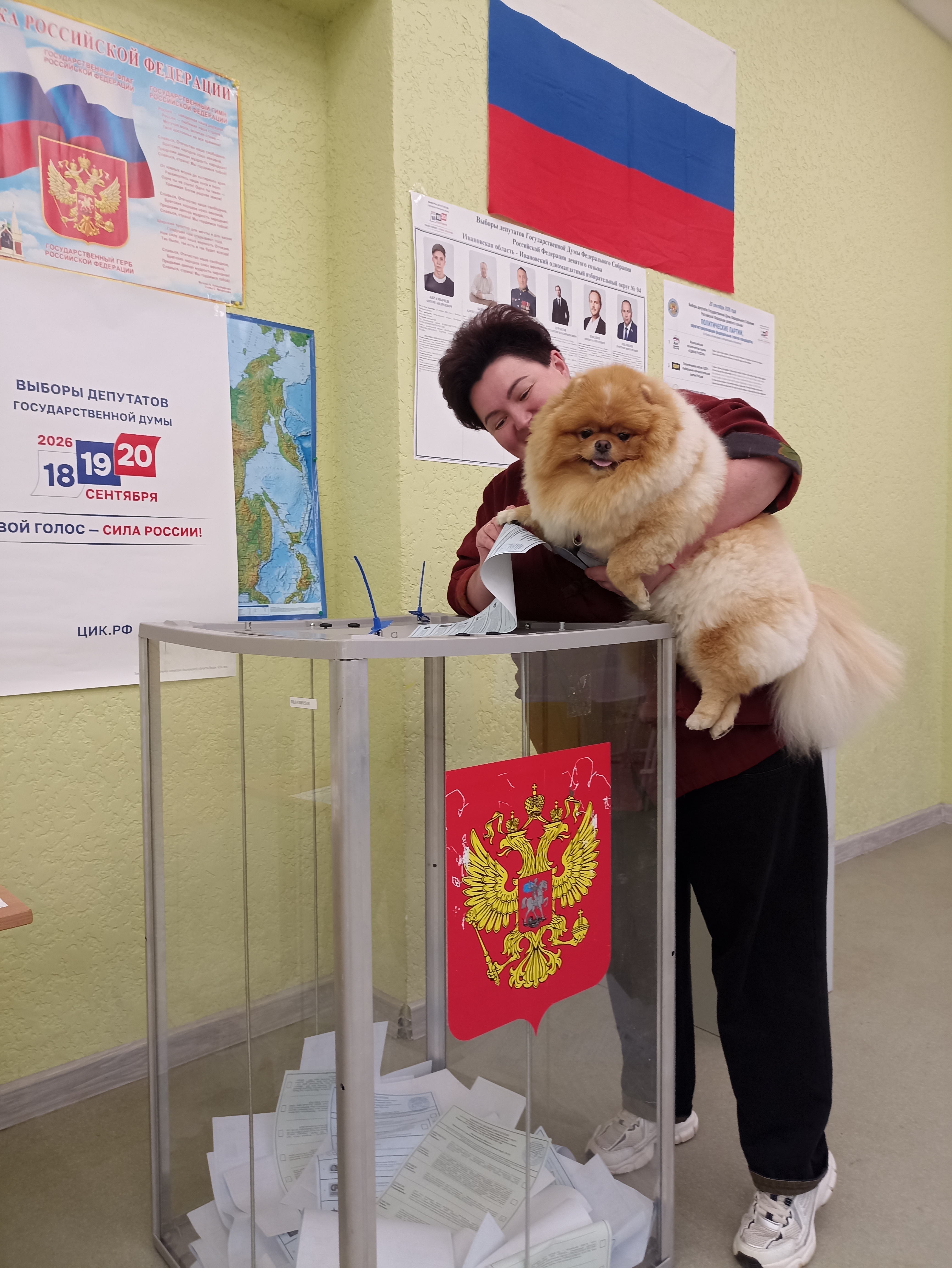 Сообщение — УИК №583, Ивановская область