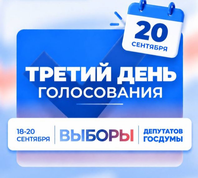 Сообщение — УИК №225, Новосибирская область