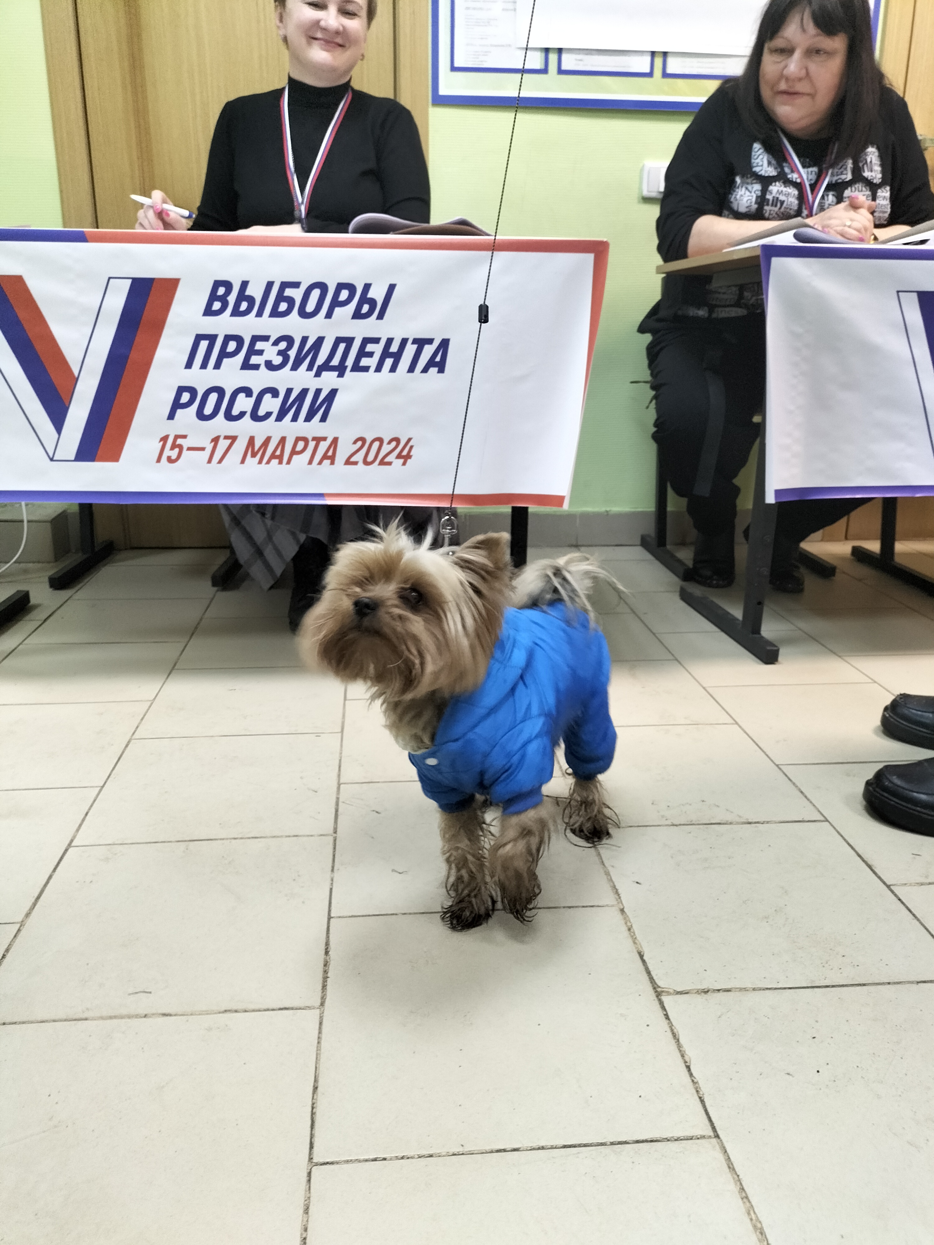 Сообщение наблюдателя — УИК №1147, Калужская область