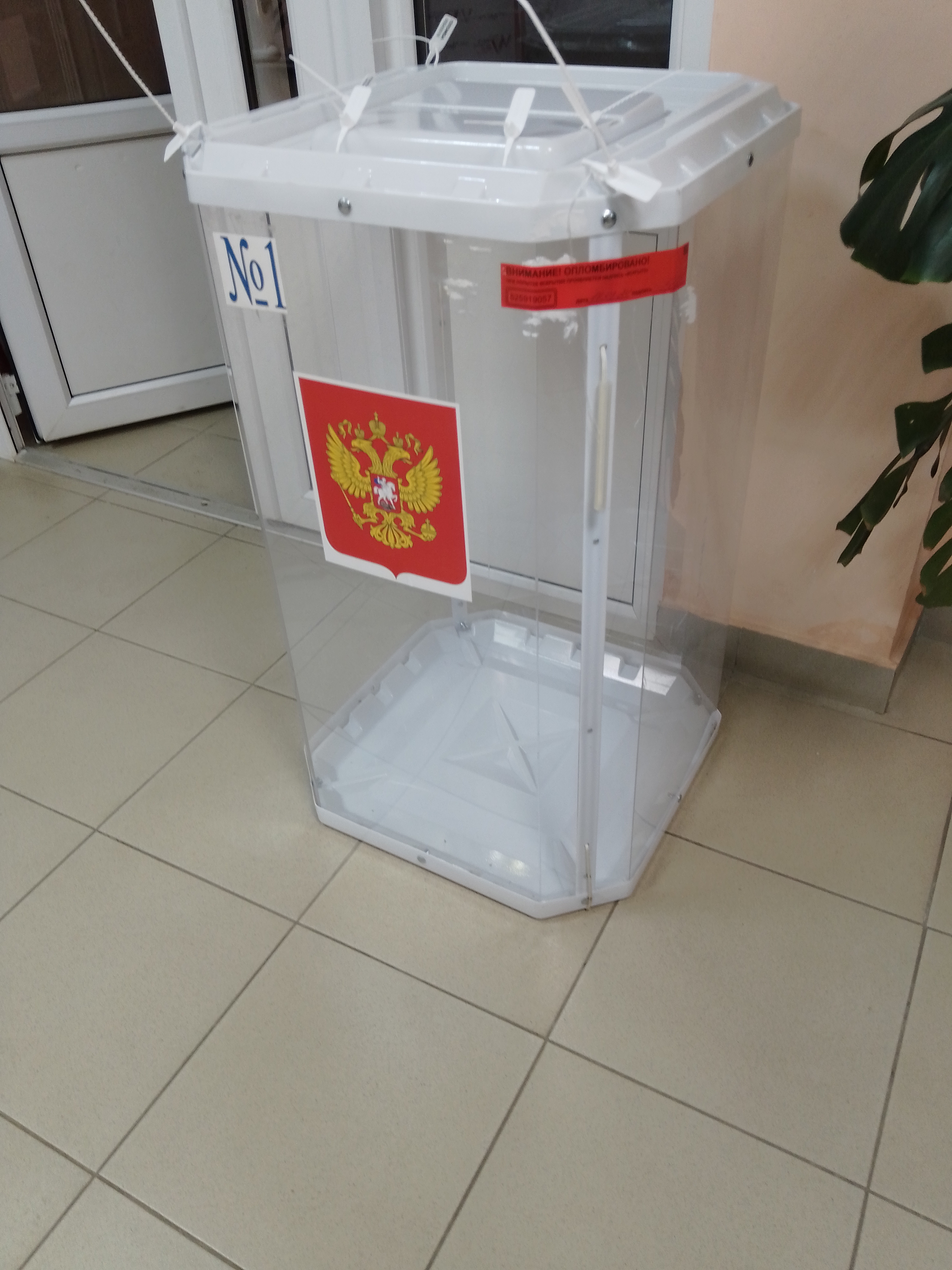 Сообщение наблюдателя — УИК №242, Белгородская область