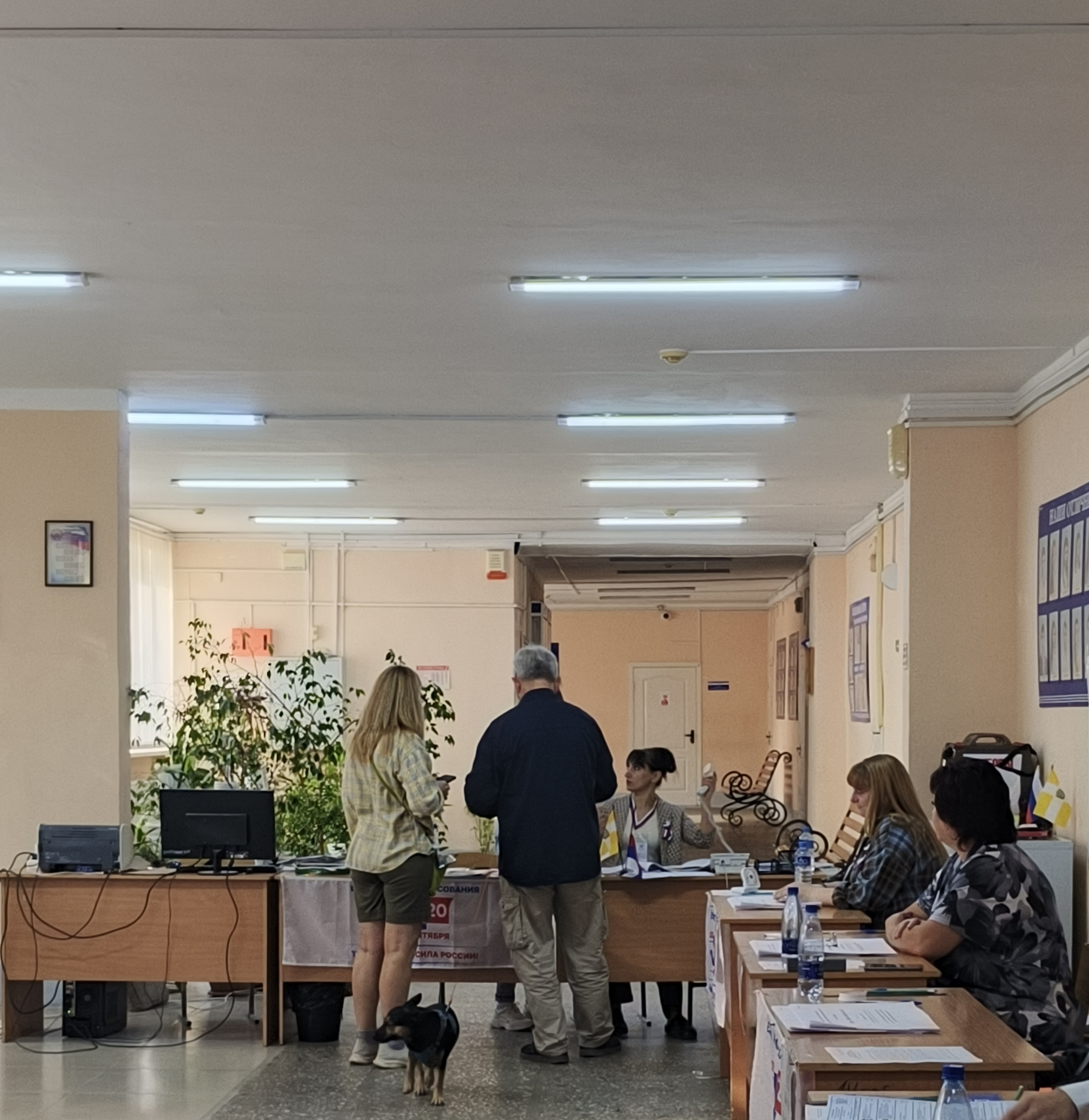 Сообщение — УИК №251, Ставропольский край