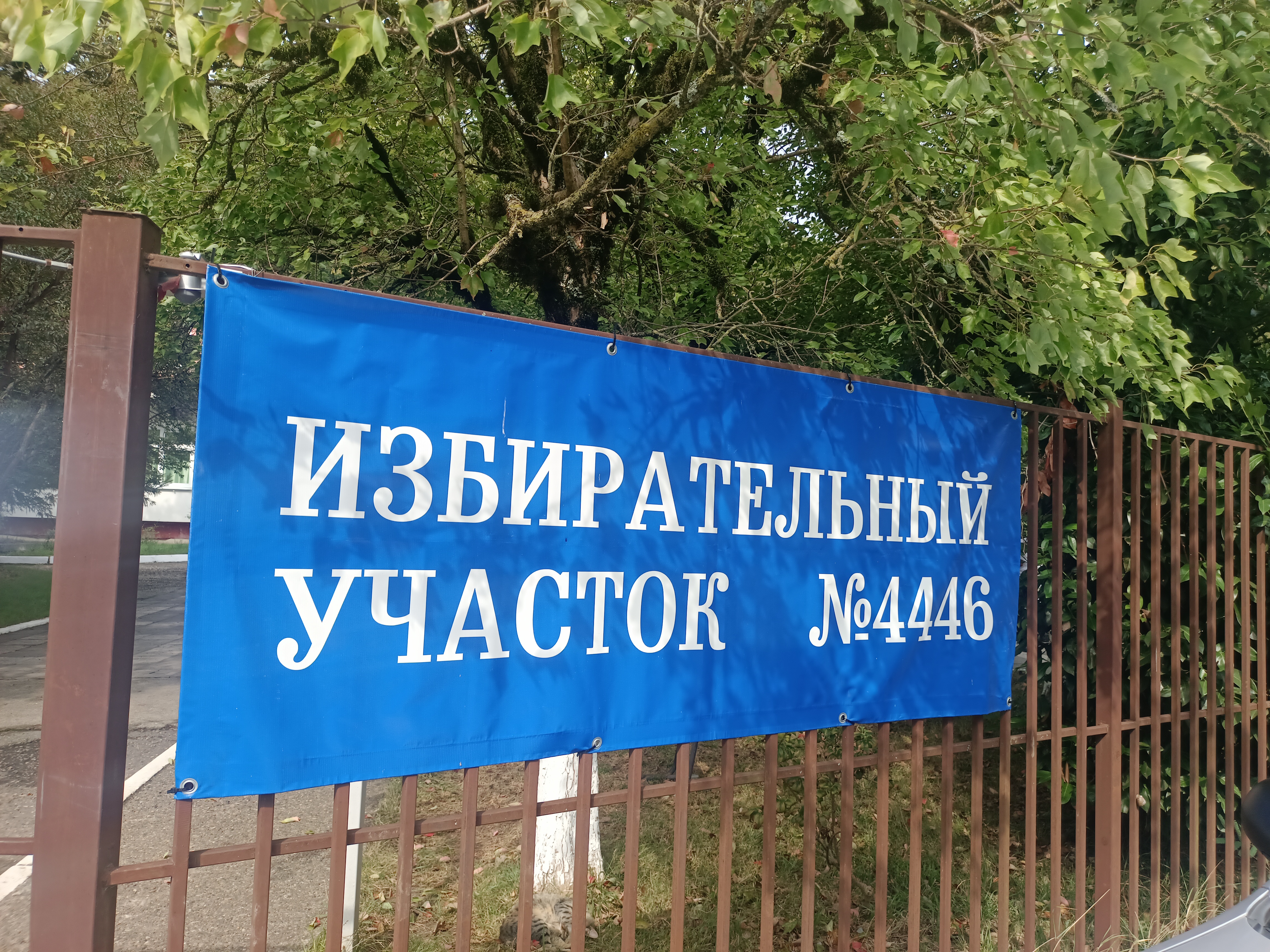 Сообщение — УИК №4446, Краснодарский край