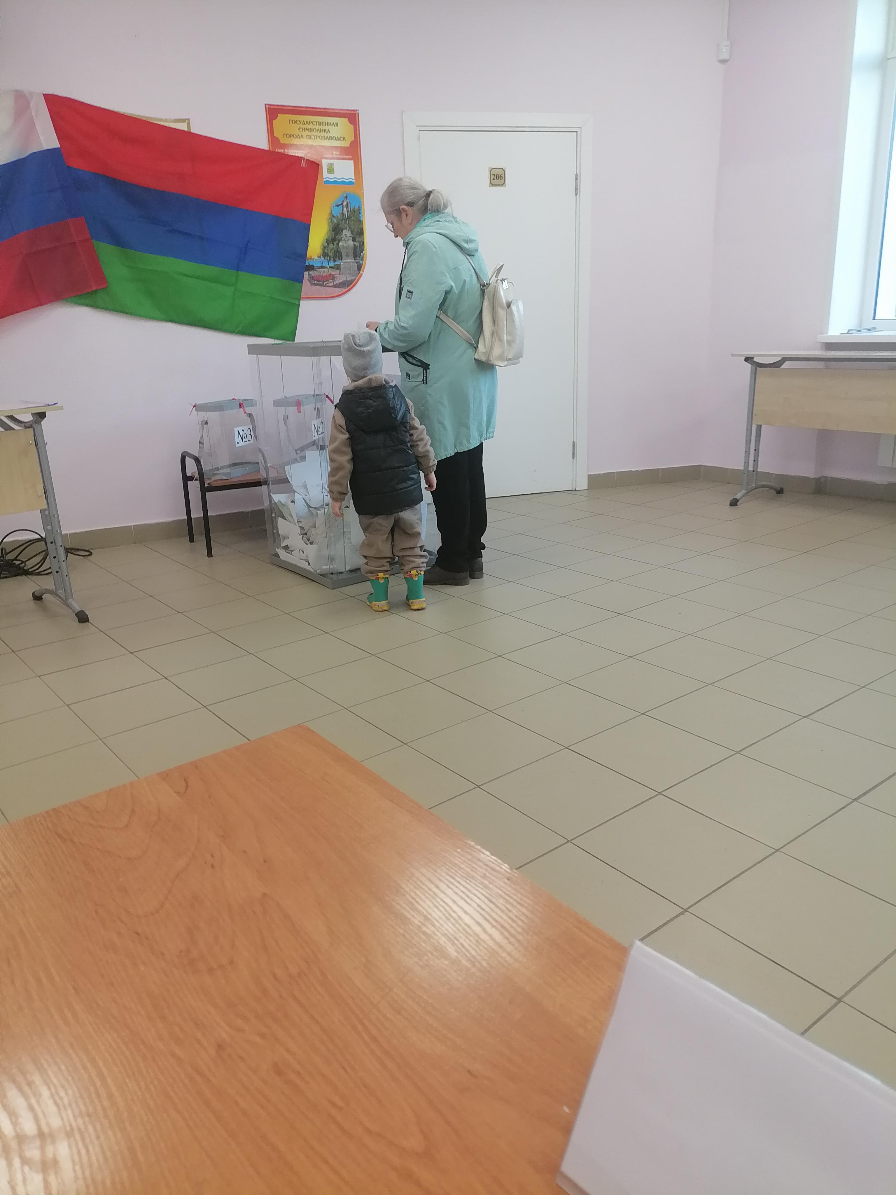 Сообщение — УИК №12, Республика Карелия