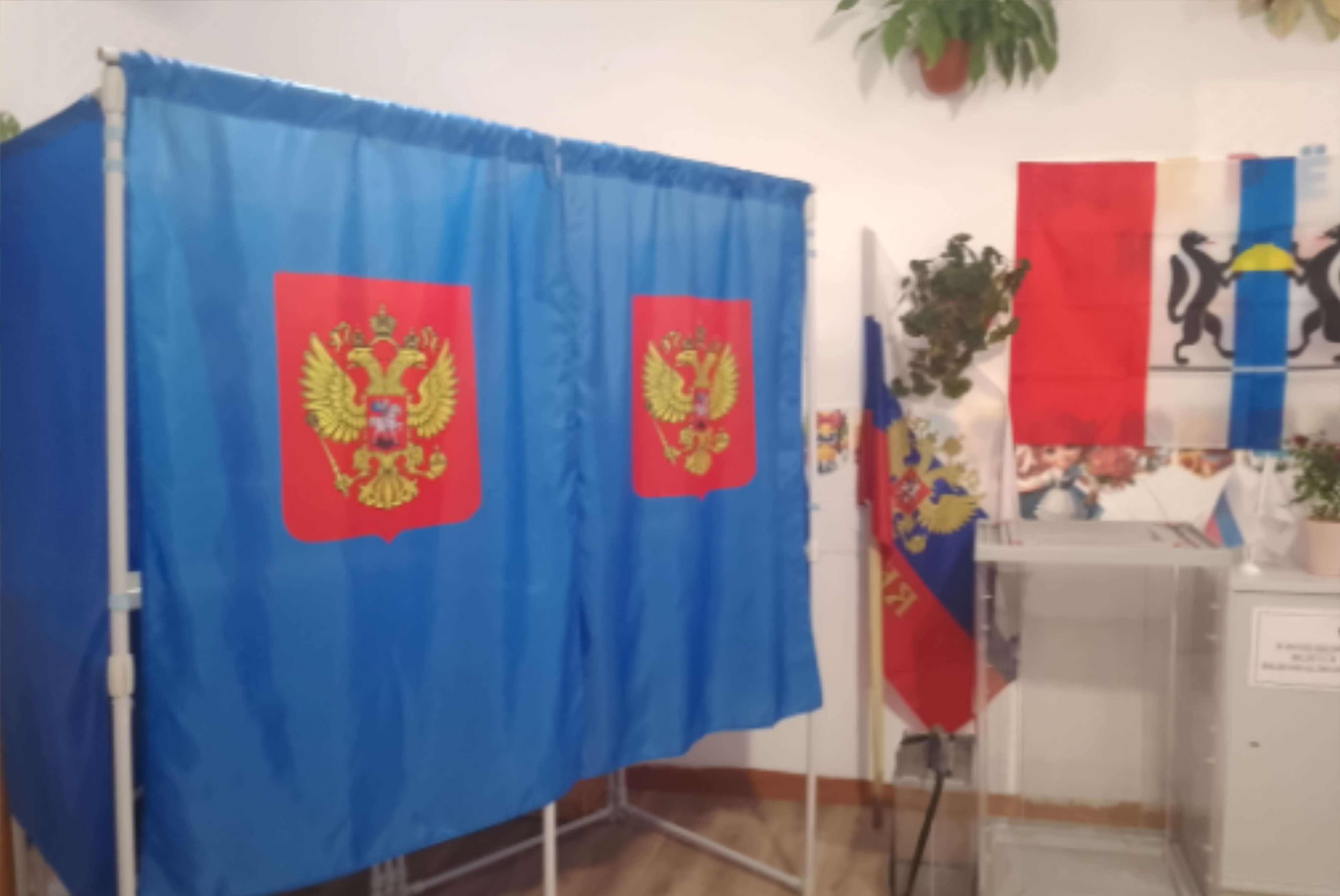 Сообщение — УИК №133, Новосибирская область