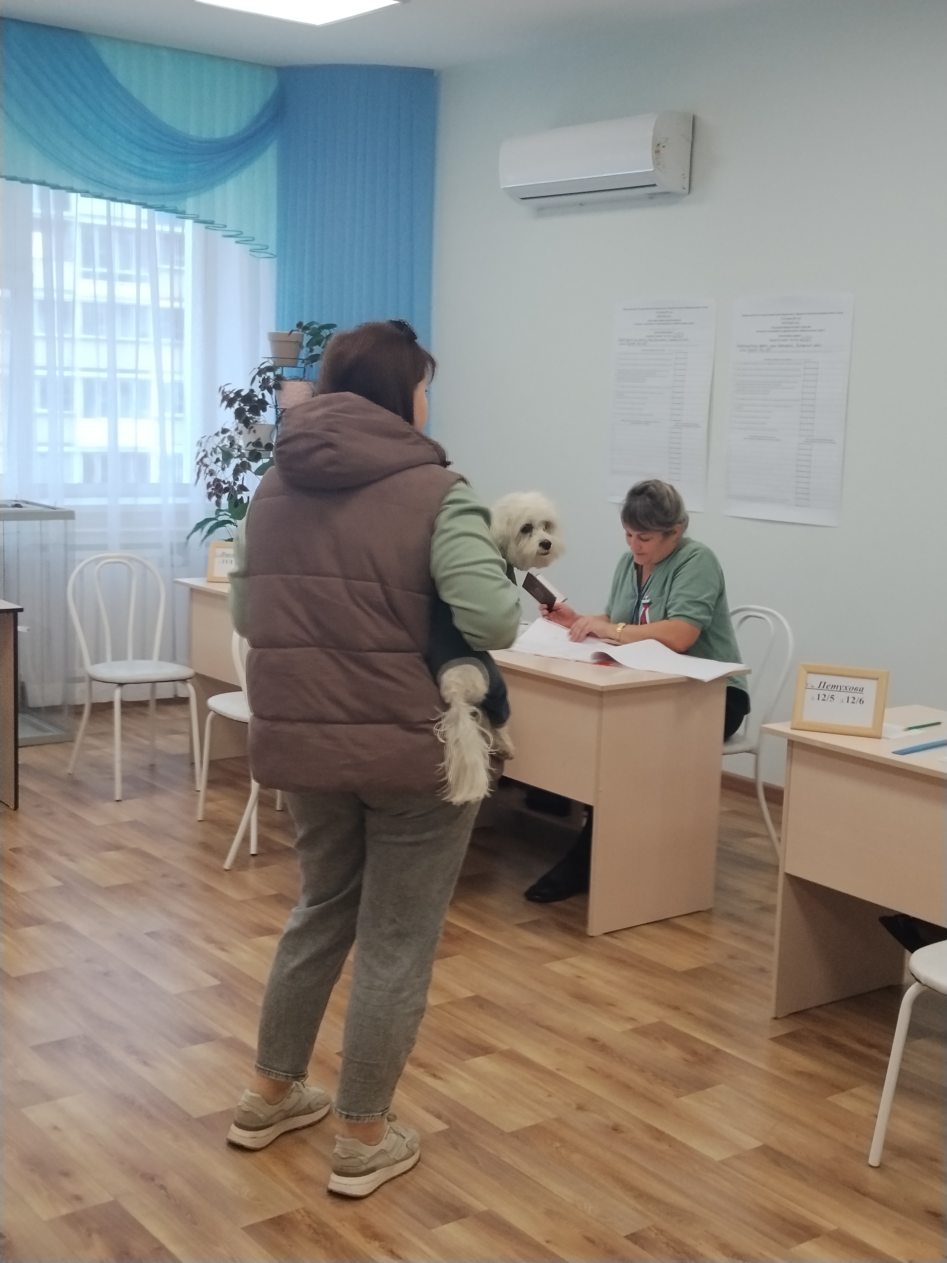 Сообщение — УИК №2020, Новосибирская область
