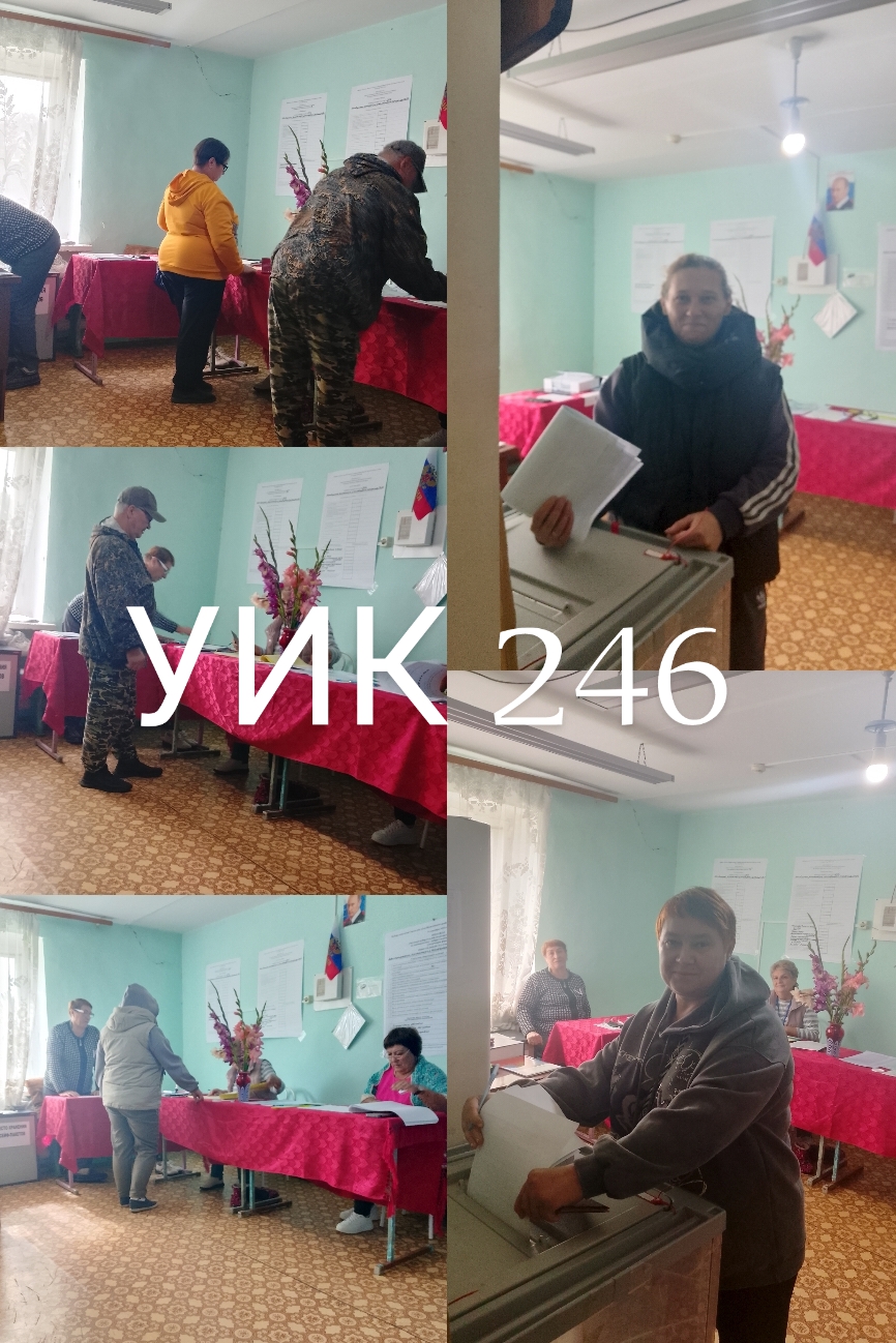 Сообщение наблюдателя — УИК №246, Новосибирская область