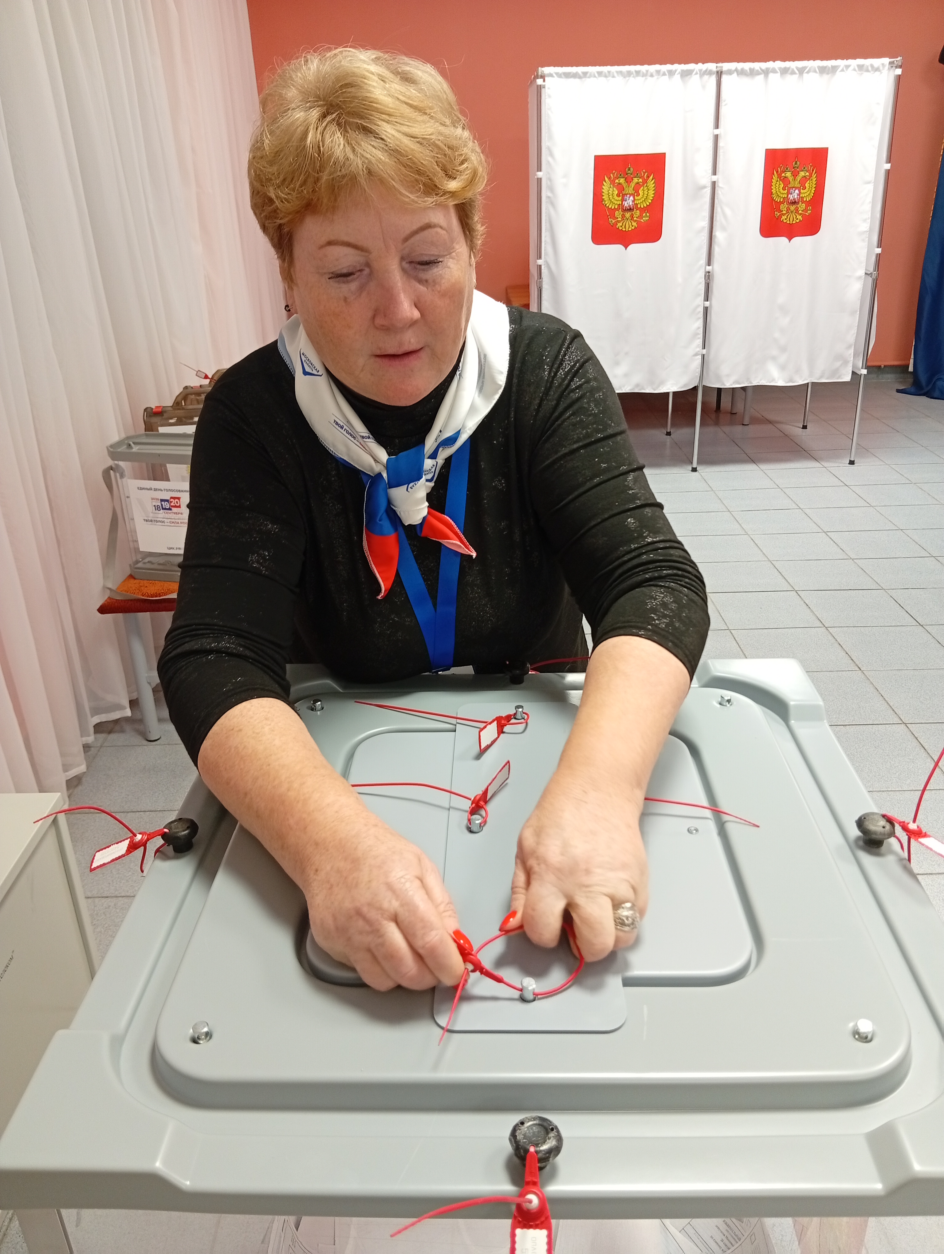 Сообщение — УИК №538, Московская область