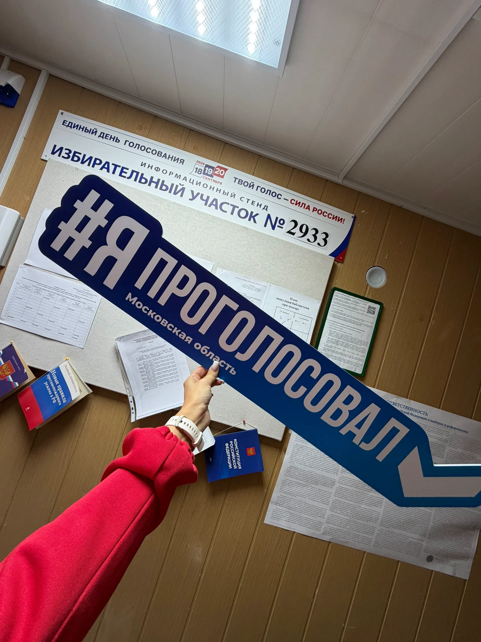 Сообщение — УИК №2933, Московская область