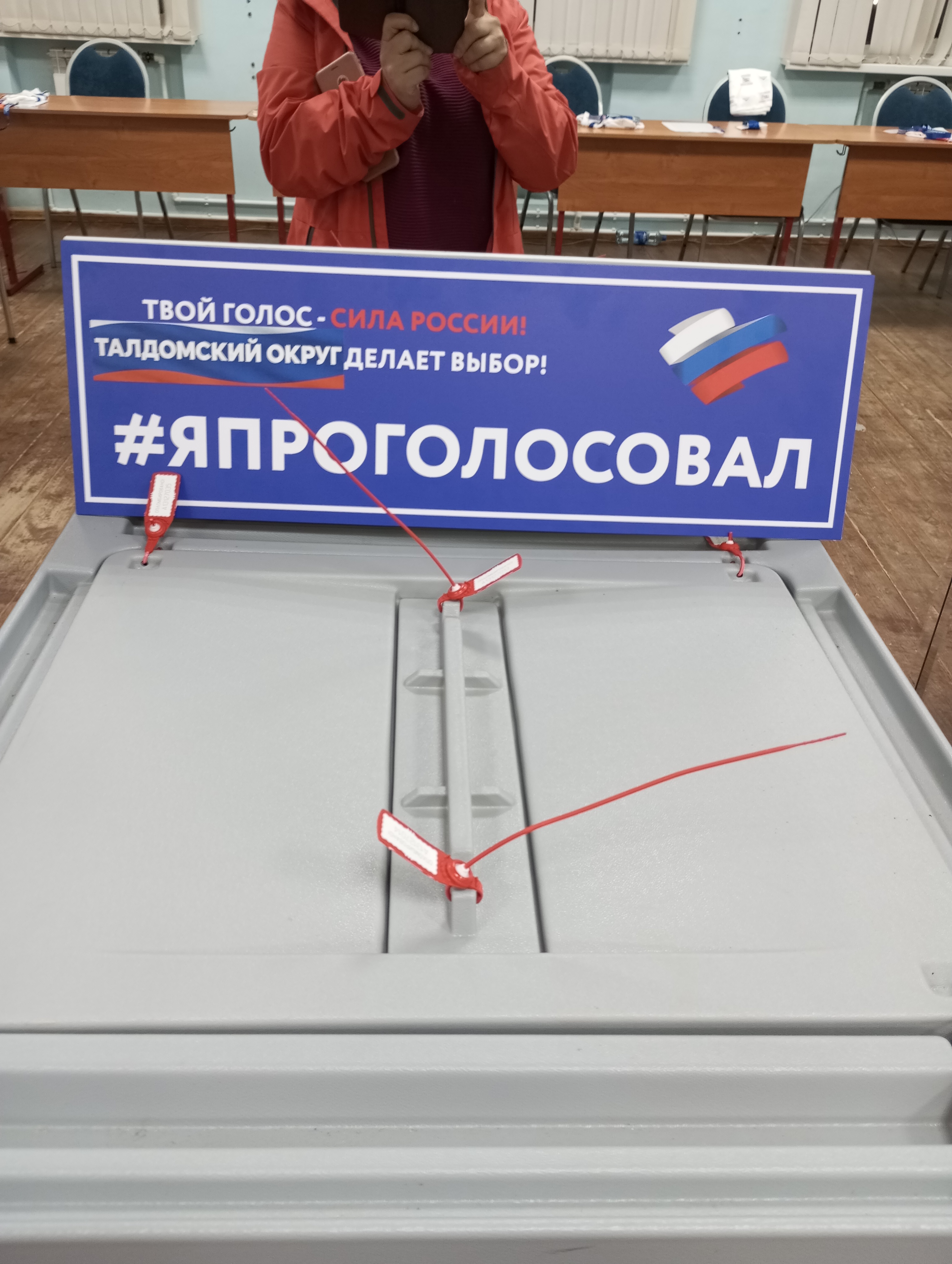 Сообщение — УИК №3095, Московская область