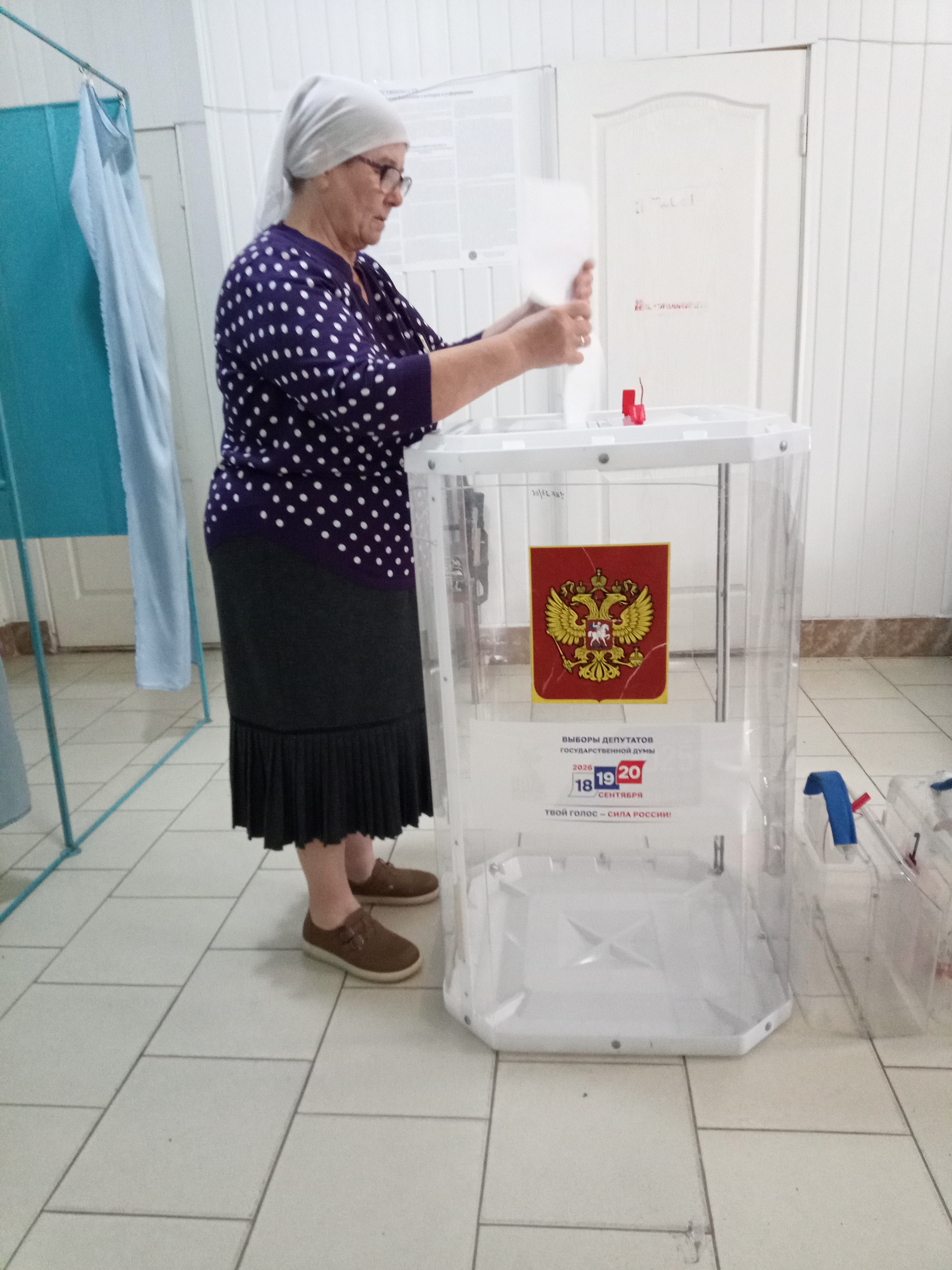 Сообщение — УИК №2806, Воронежская область