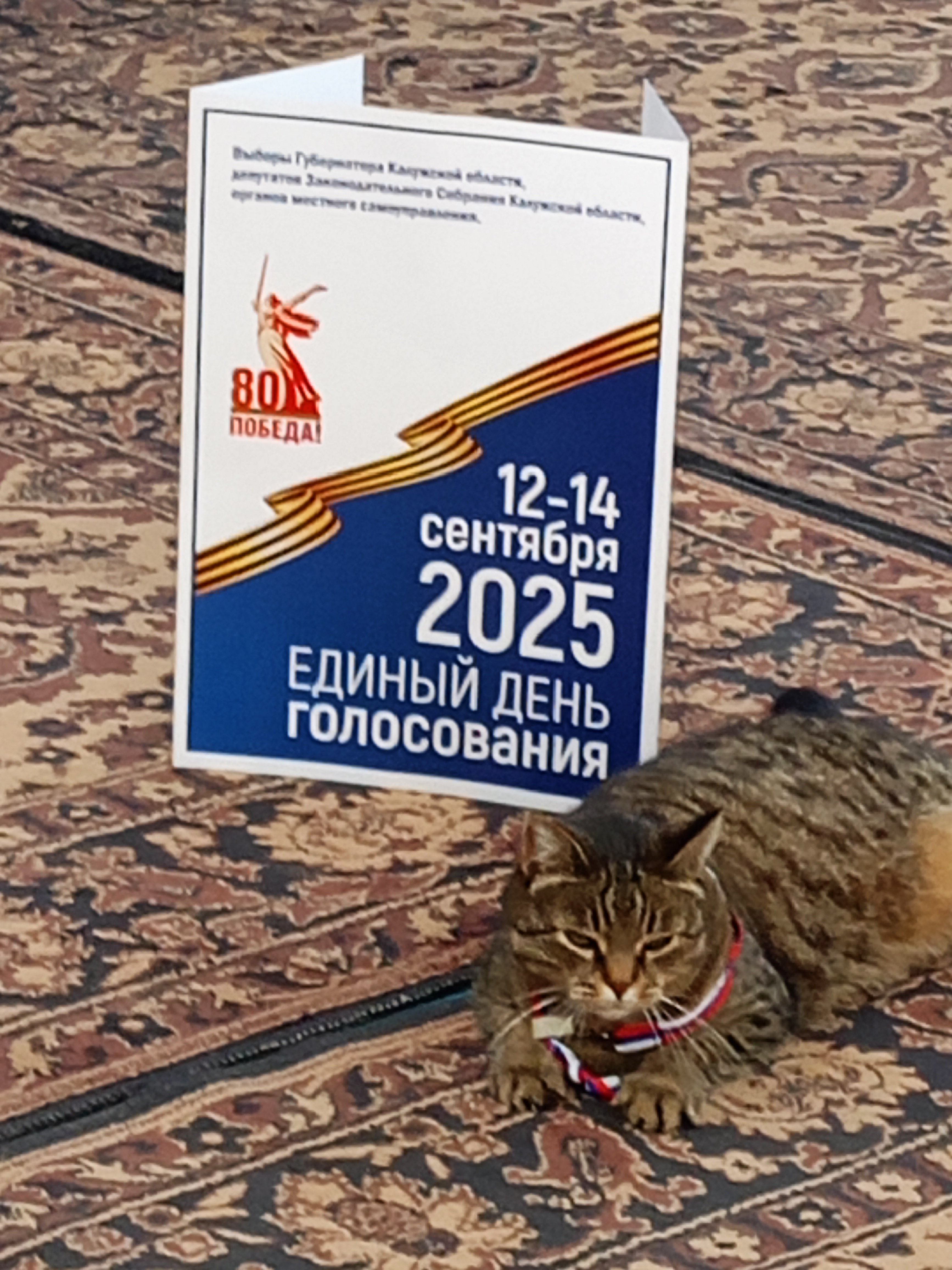 Сообщение наблюдателя — УИК №312, Калужская область