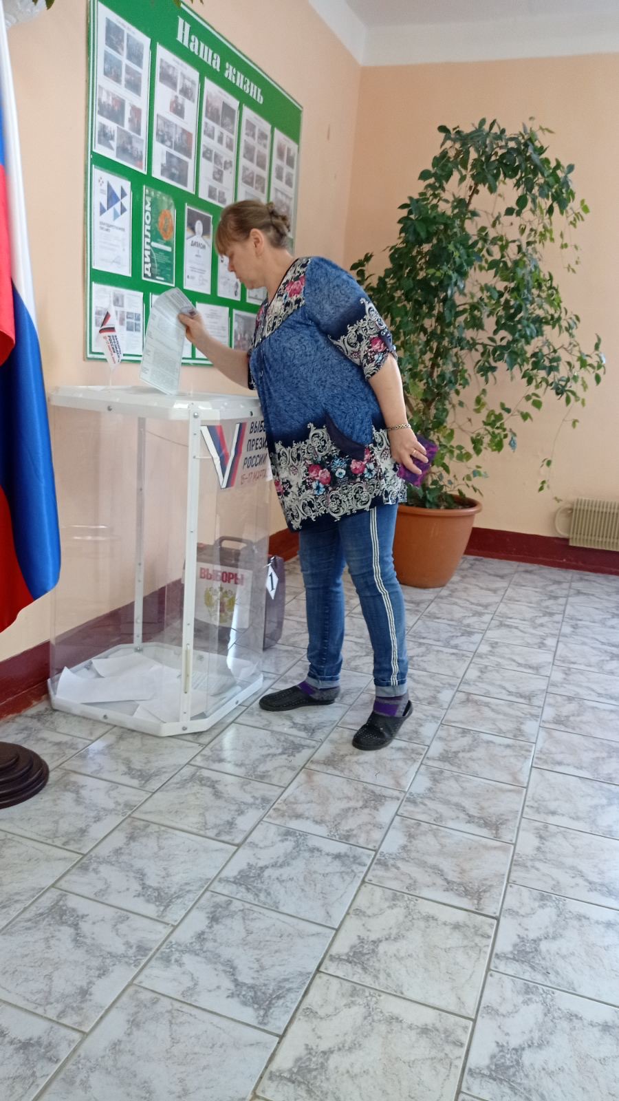 Сообщение наблюдателя — УИК №684, Владимирская область
