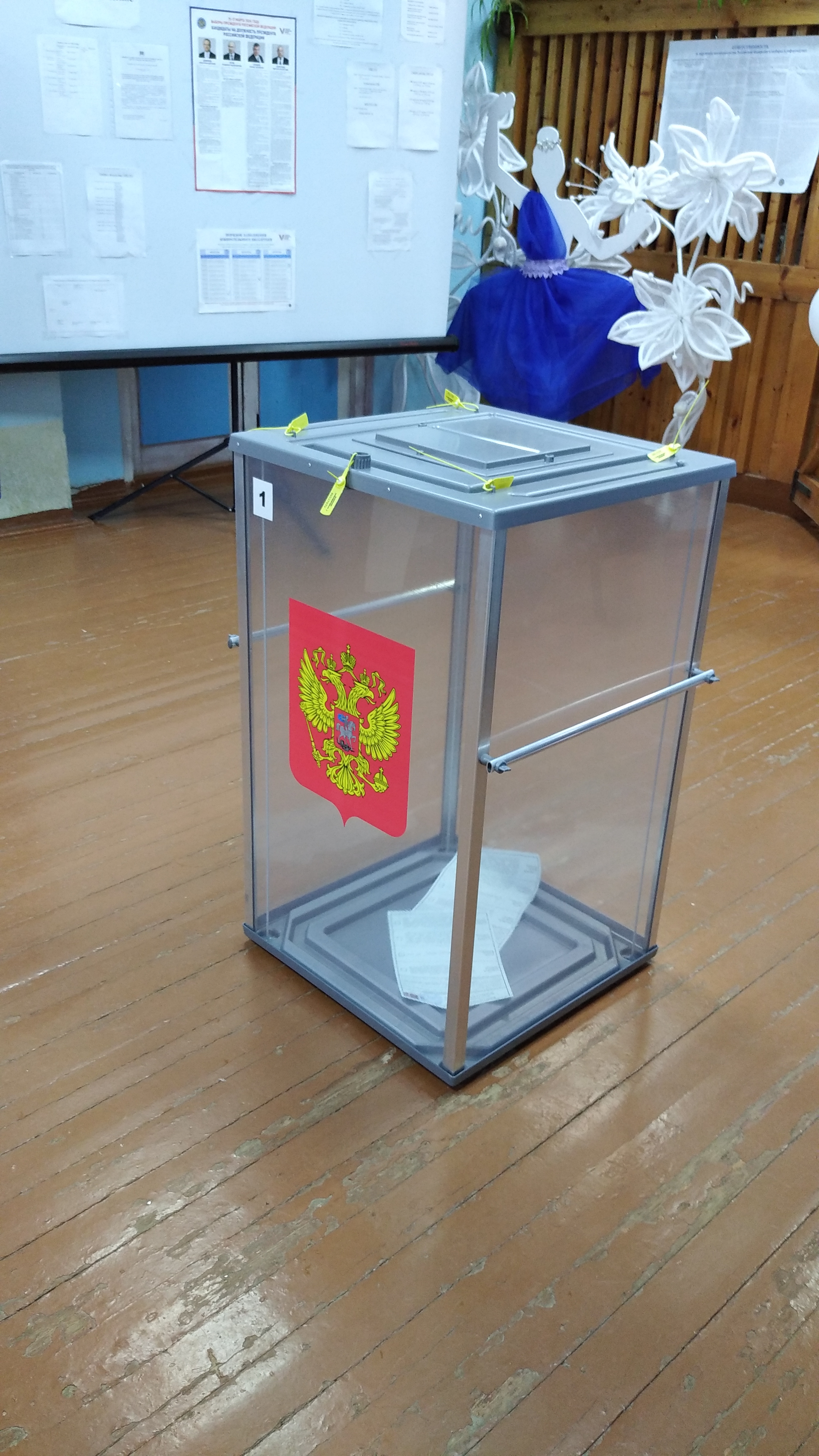 Сообщение наблюдателя — УИК №954, Архангельская область