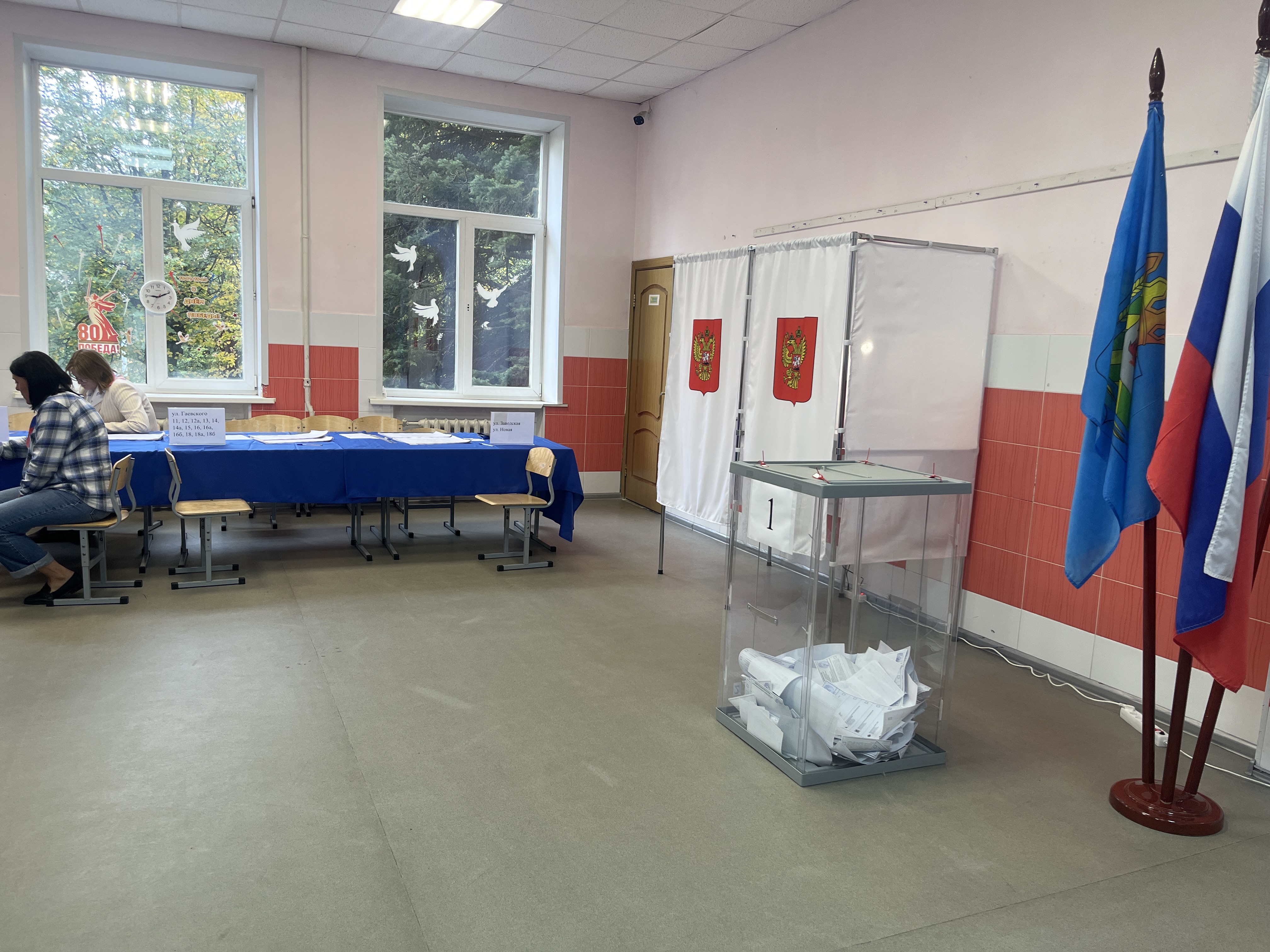 Сообщение — УИК №3633, Московская область