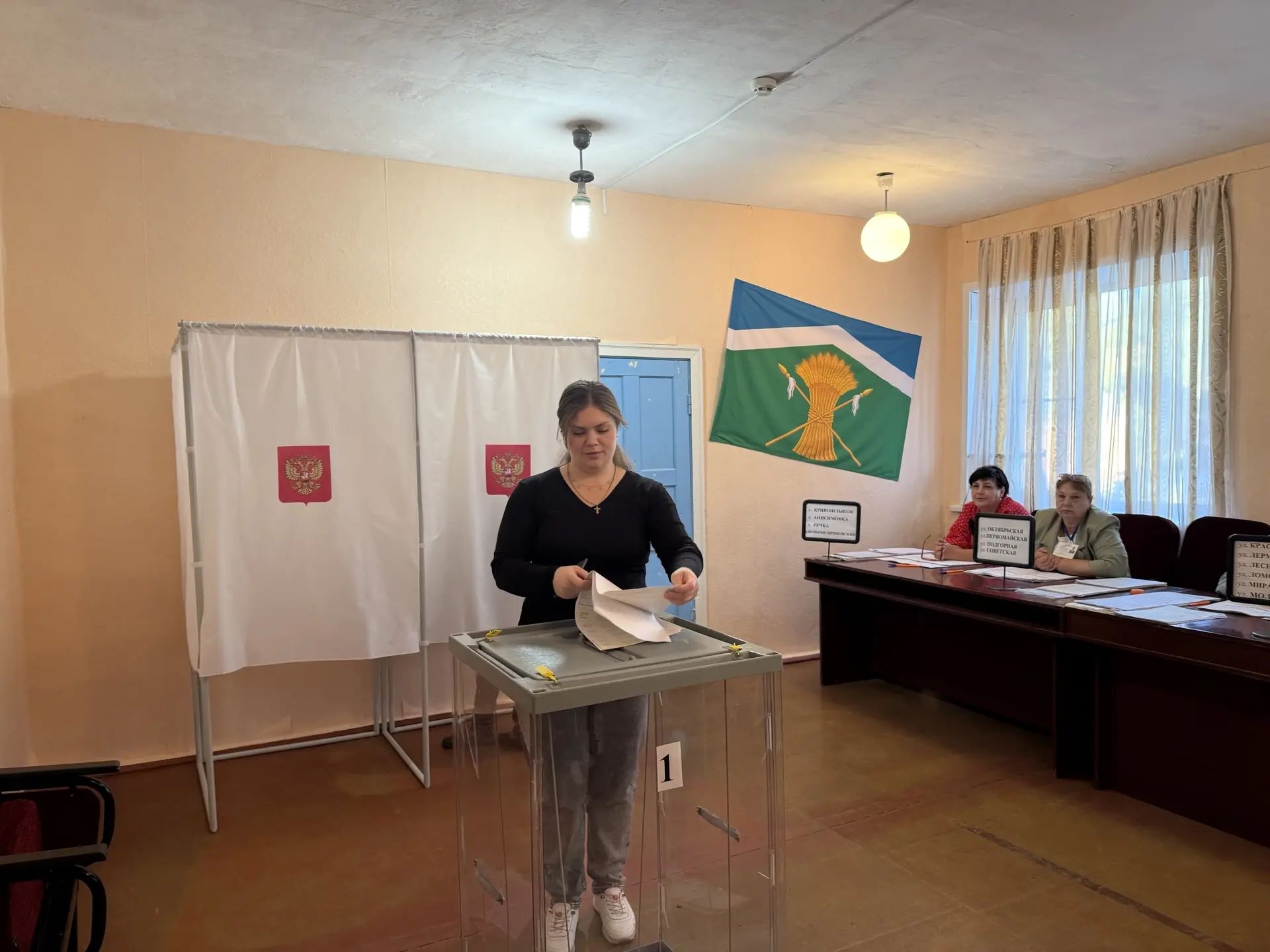Сообщение — УИК №867, Ростовская область