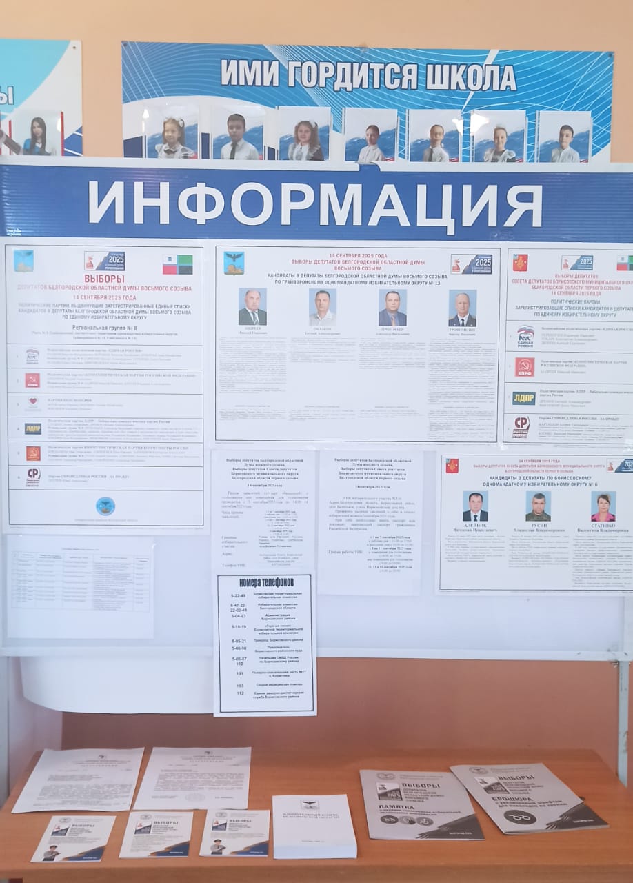 Сообщение наблюдателя — УИК №336, Белгородская область