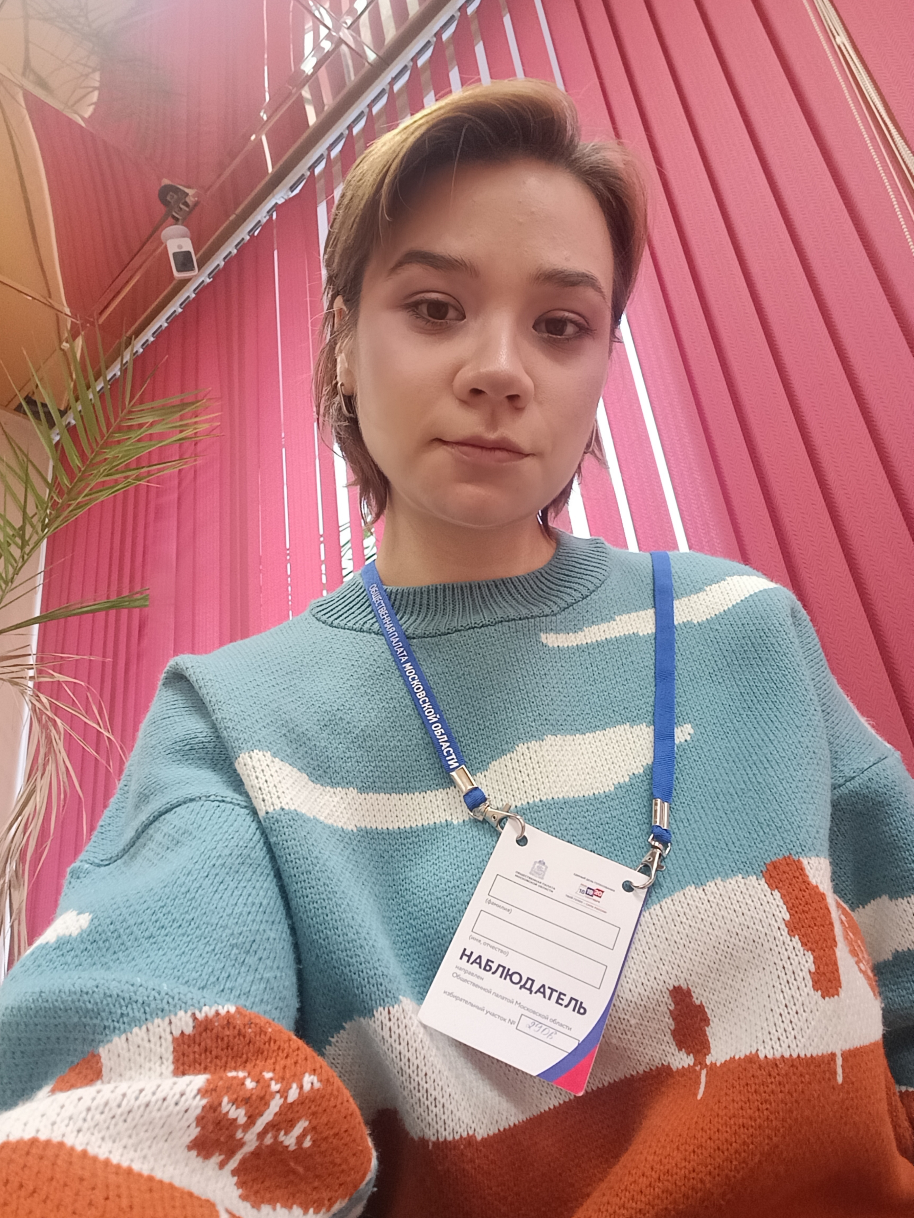 Сообщение — УИК №2906, Московская область