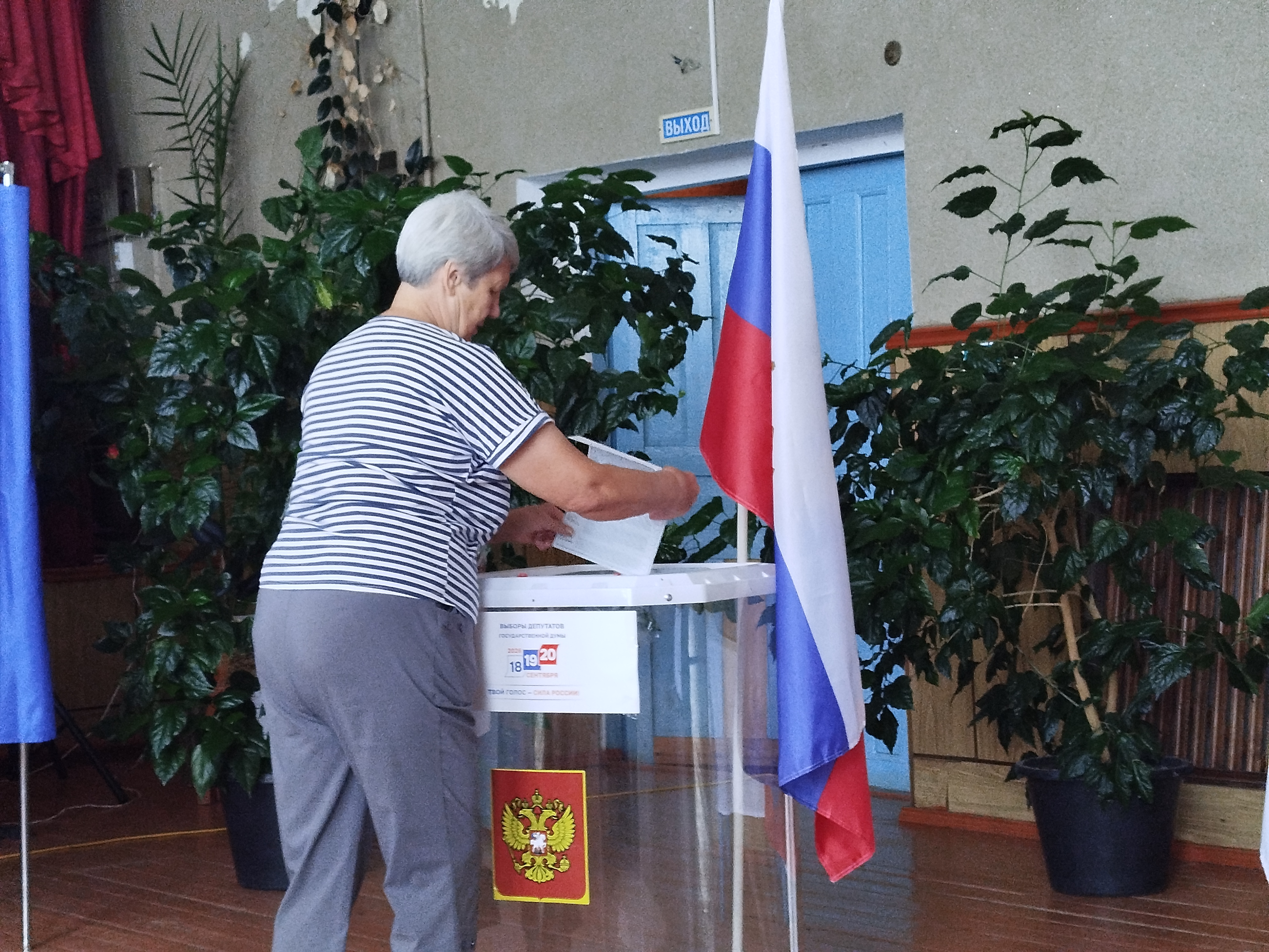 Сообщение — УИК №2739, Воронежская область