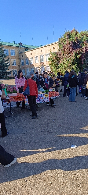 Сообщение — УИК №3032, Республика Башкортостан