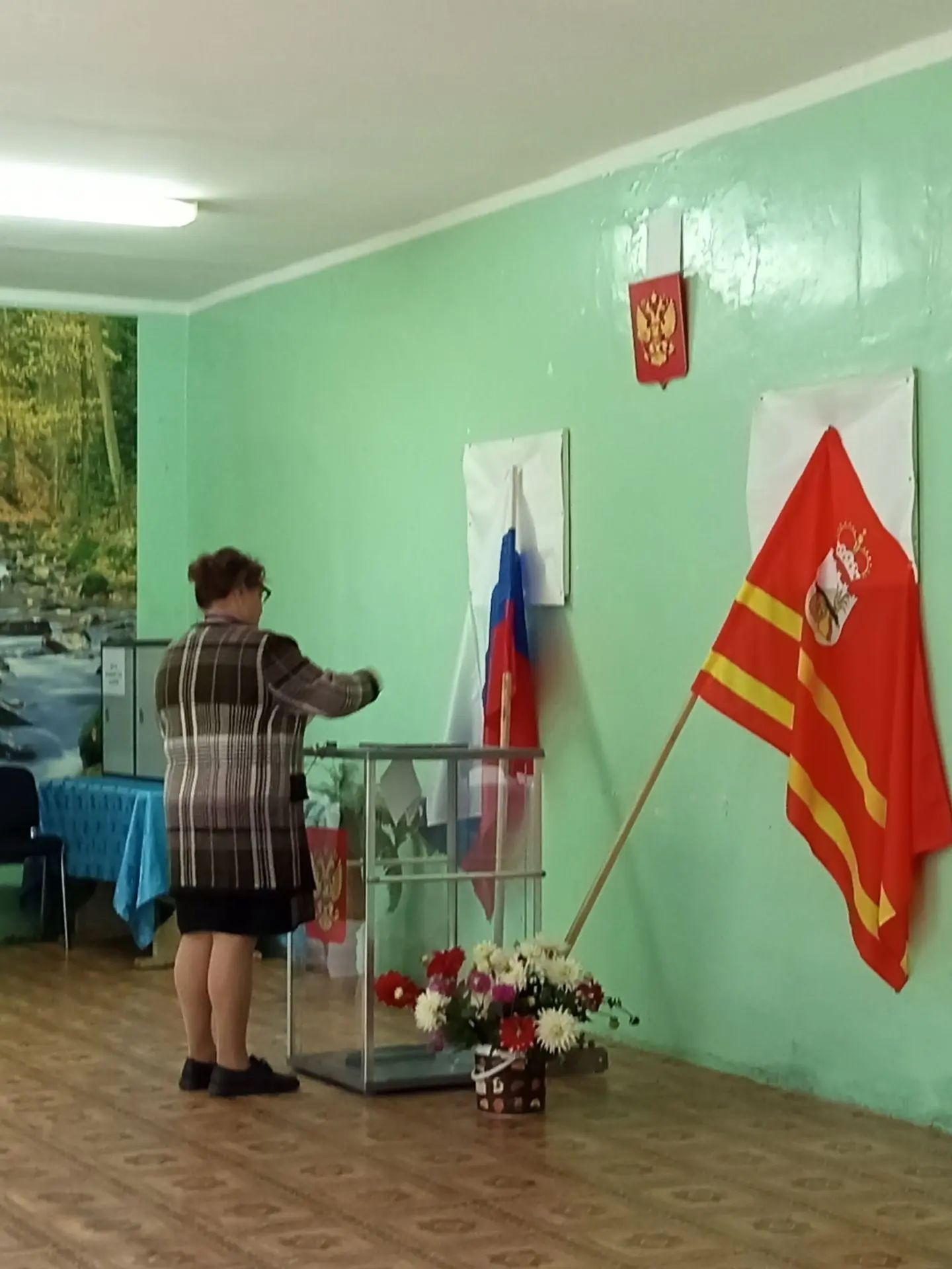 Сообщение — УИК №86, Смоленская область