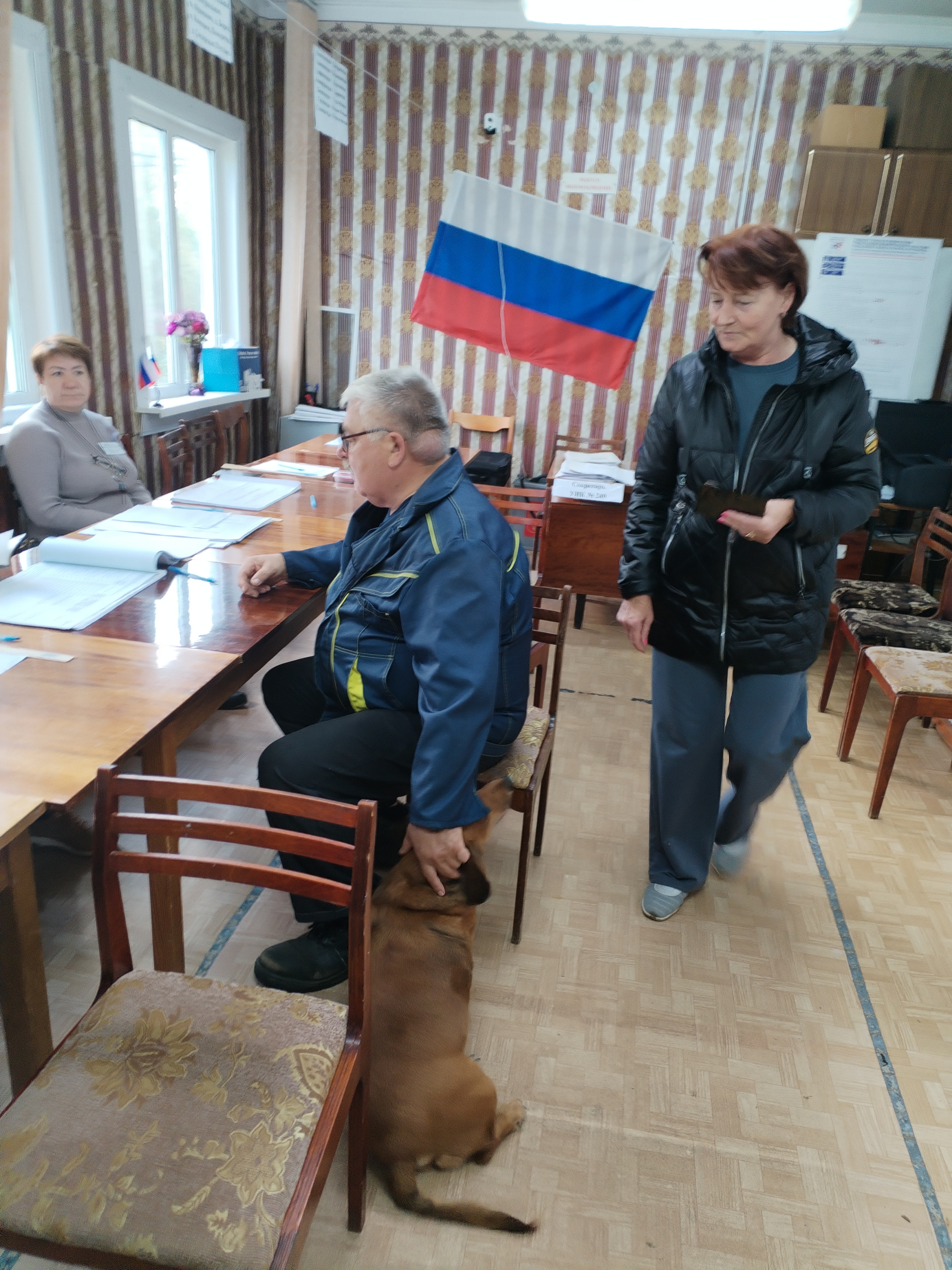 Сообщение — УИК №249, Архангельская область