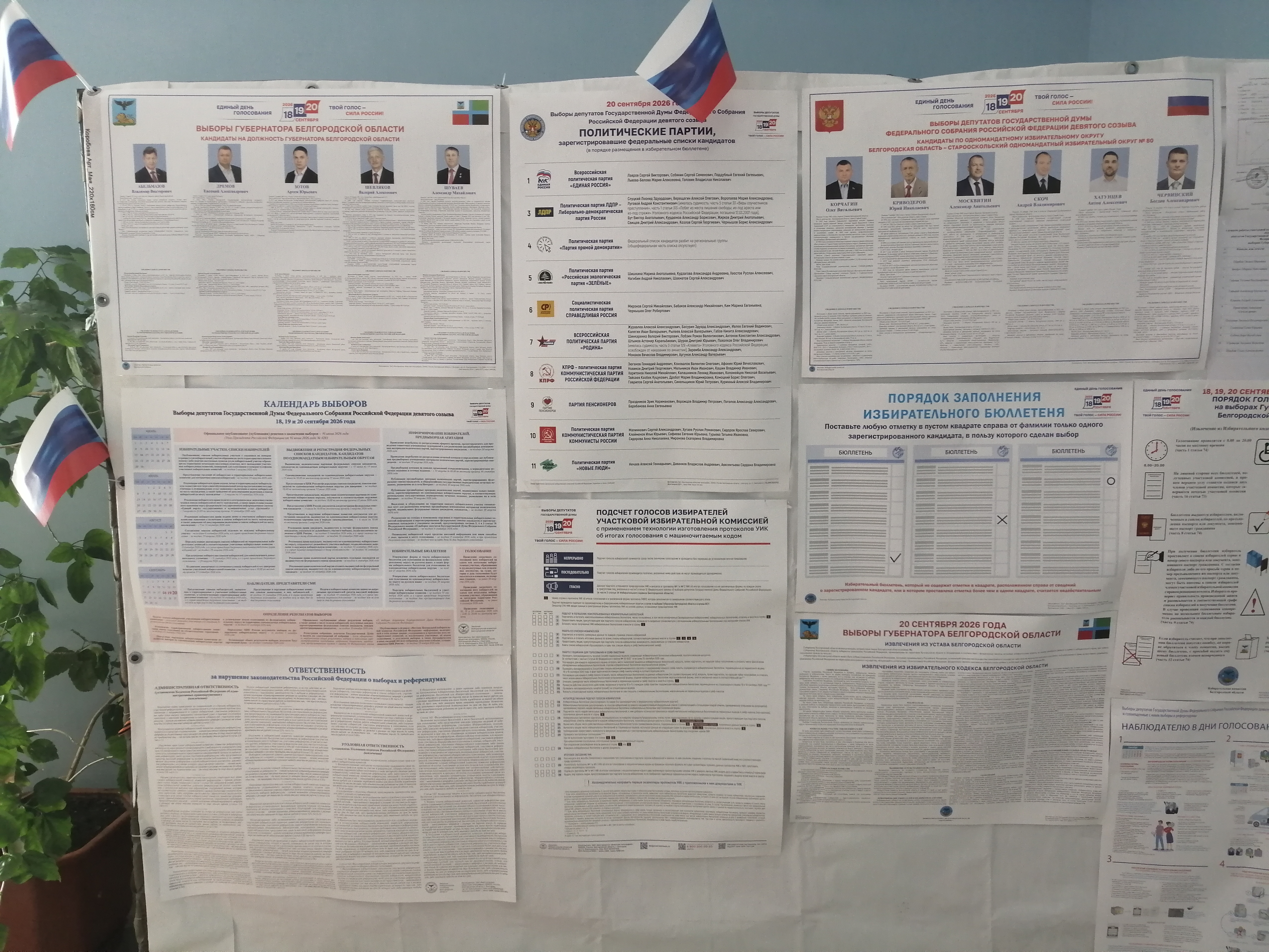 Сообщение — УИК №36, Белгородская область