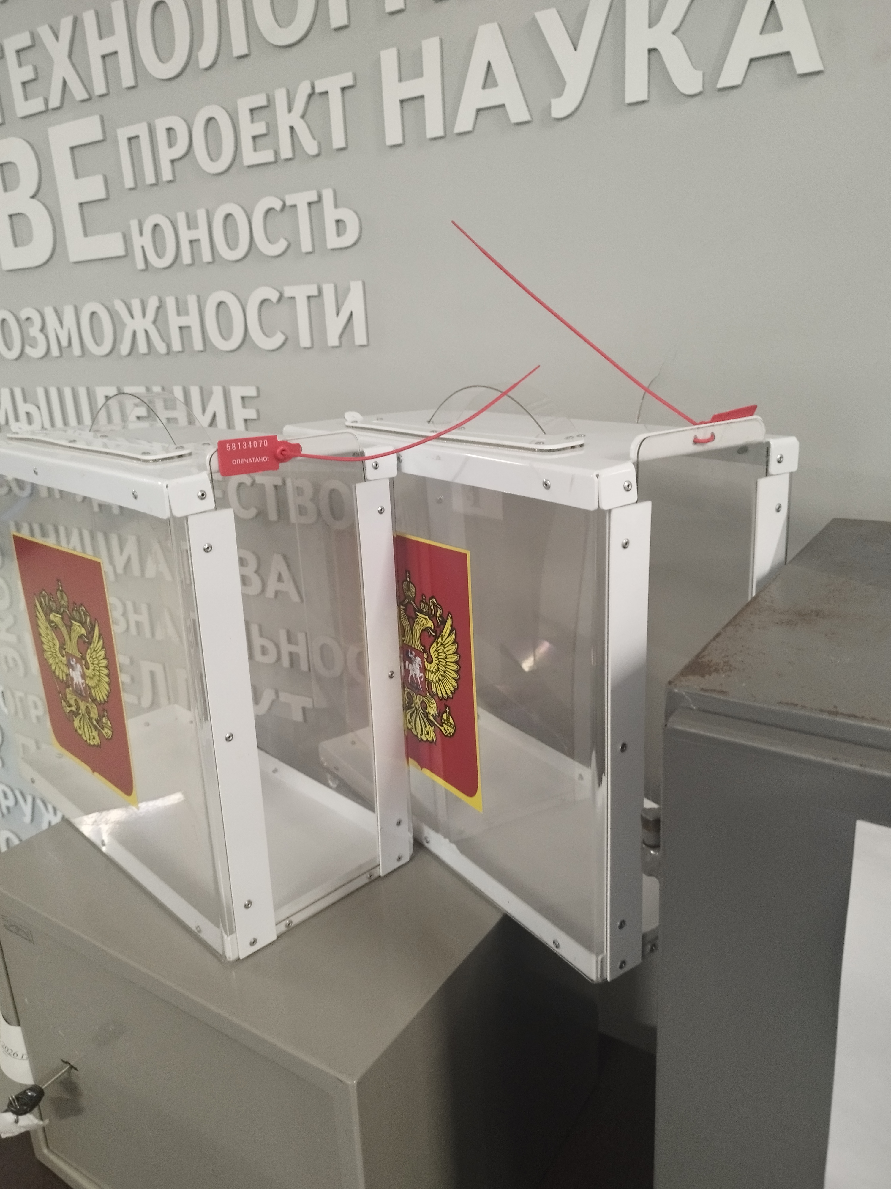Сообщение — УИК №1132, Воронежская область