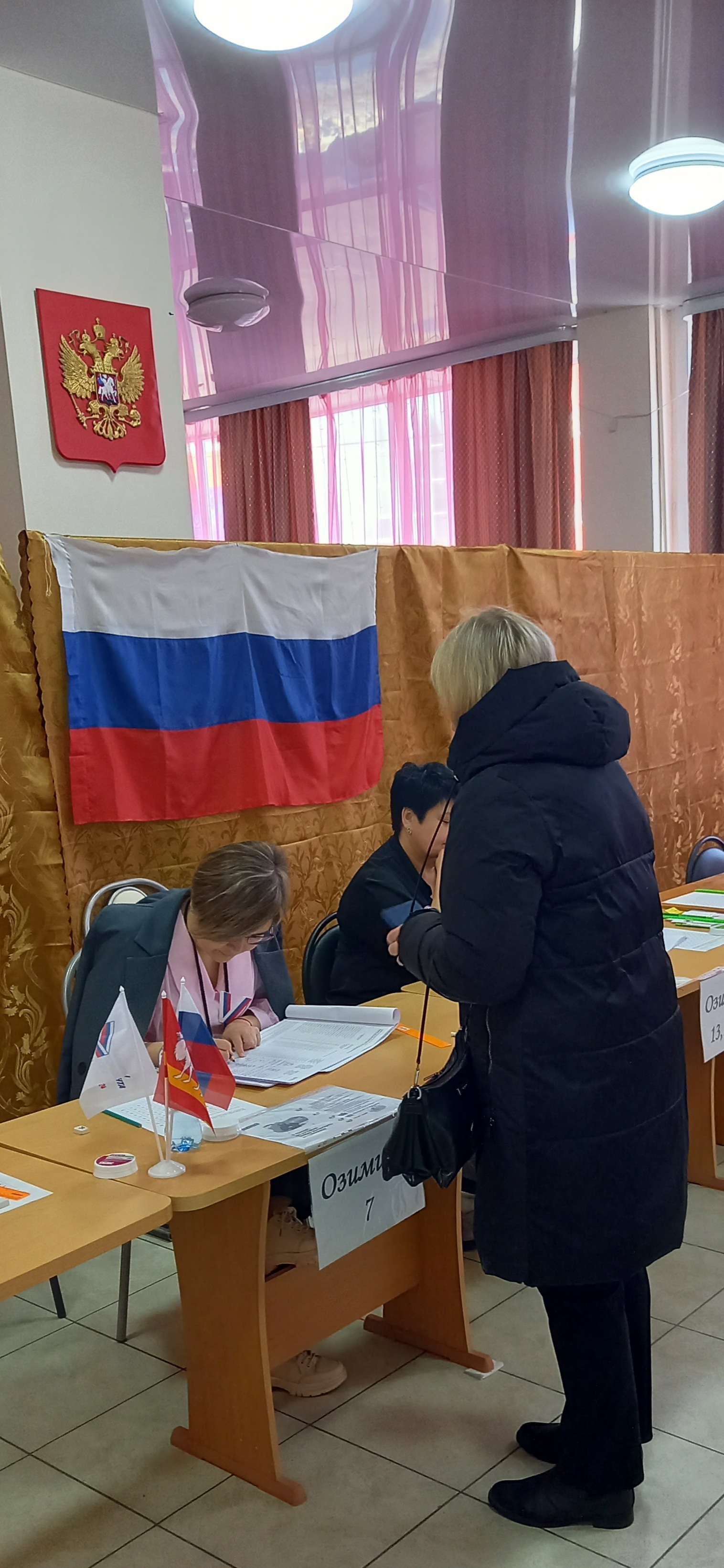 Сообщение наблюдателя — УИК №833, Челябинская область