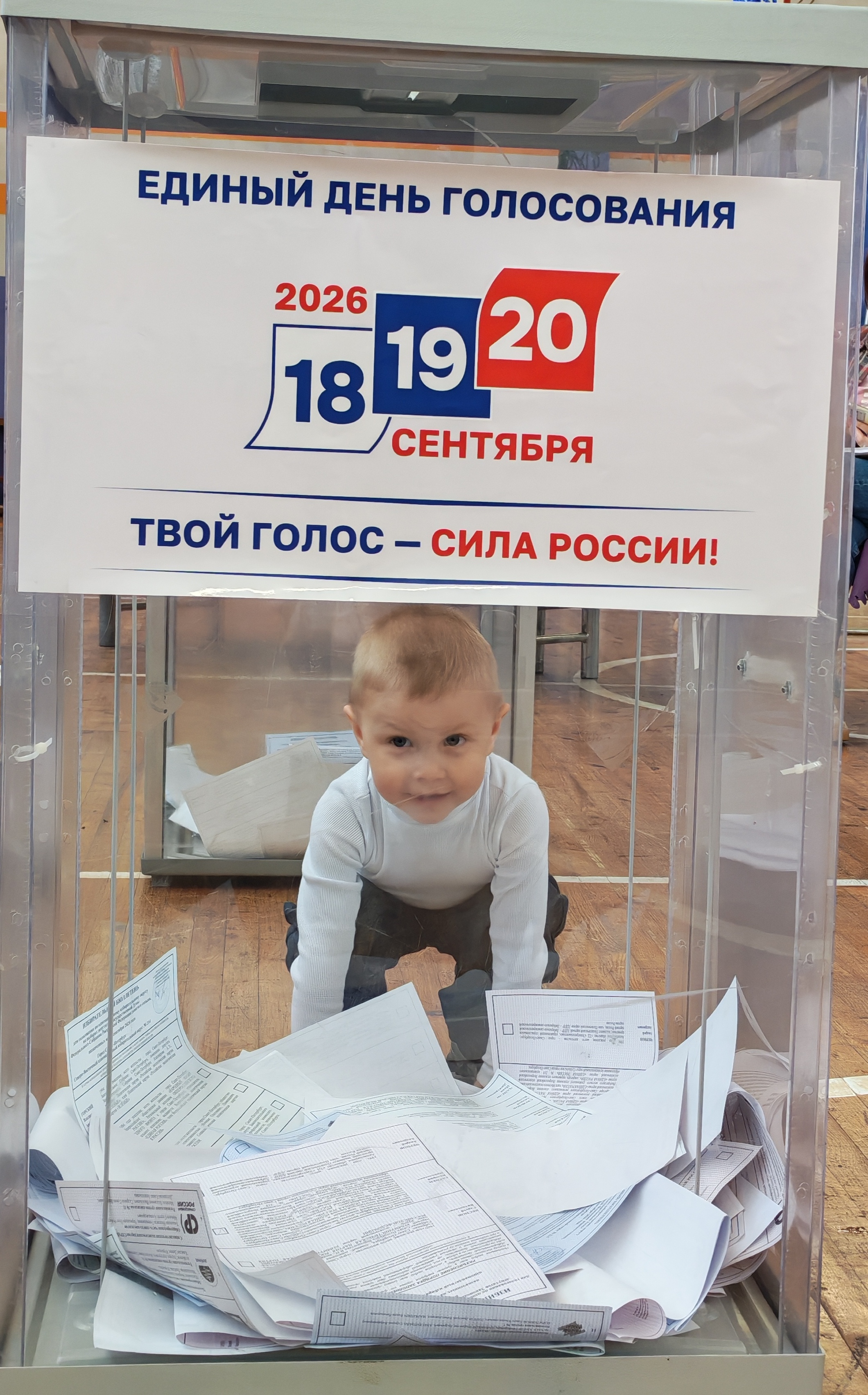 Сообщение — УИК №208, Санкт-Петербург