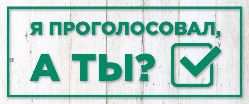 Сообщение наблюдателя — УИК №444, Владимирская область