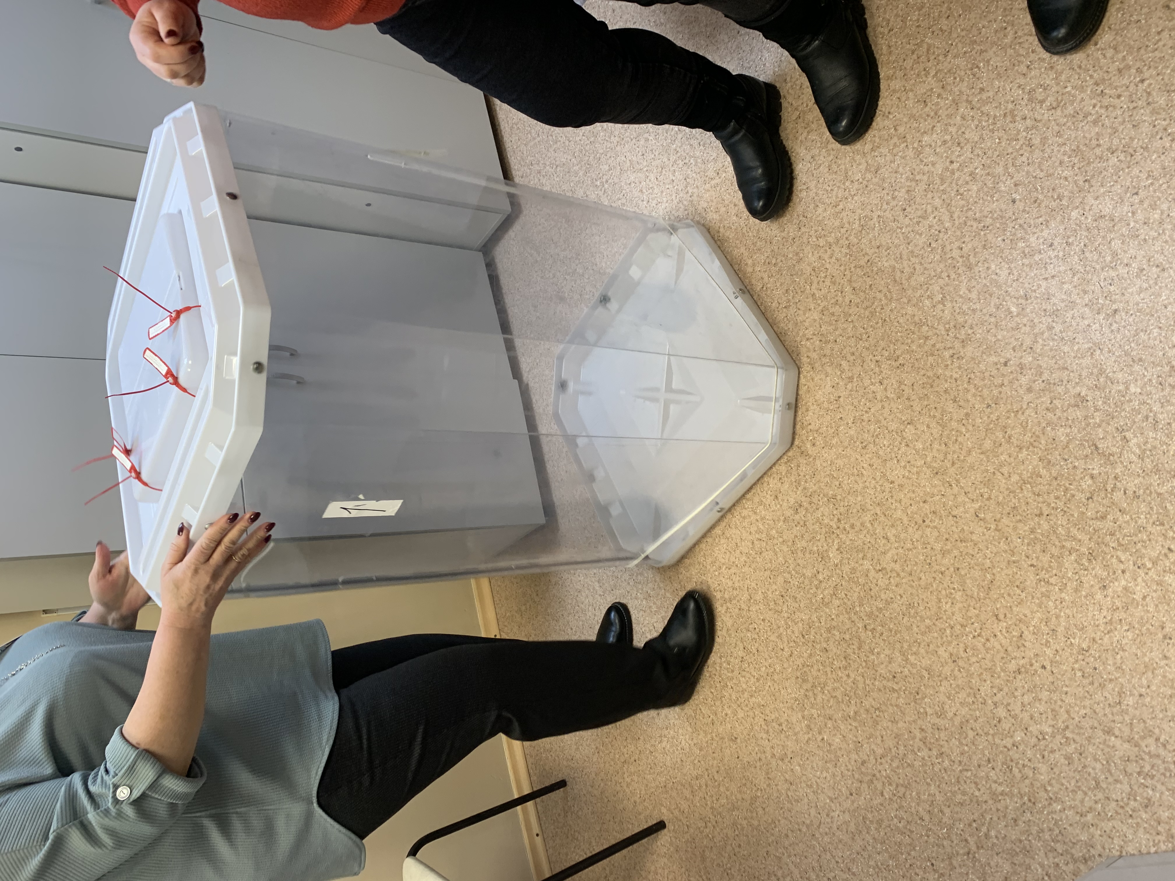 Сообщение наблюдателя — УИК №608, Белгородская область