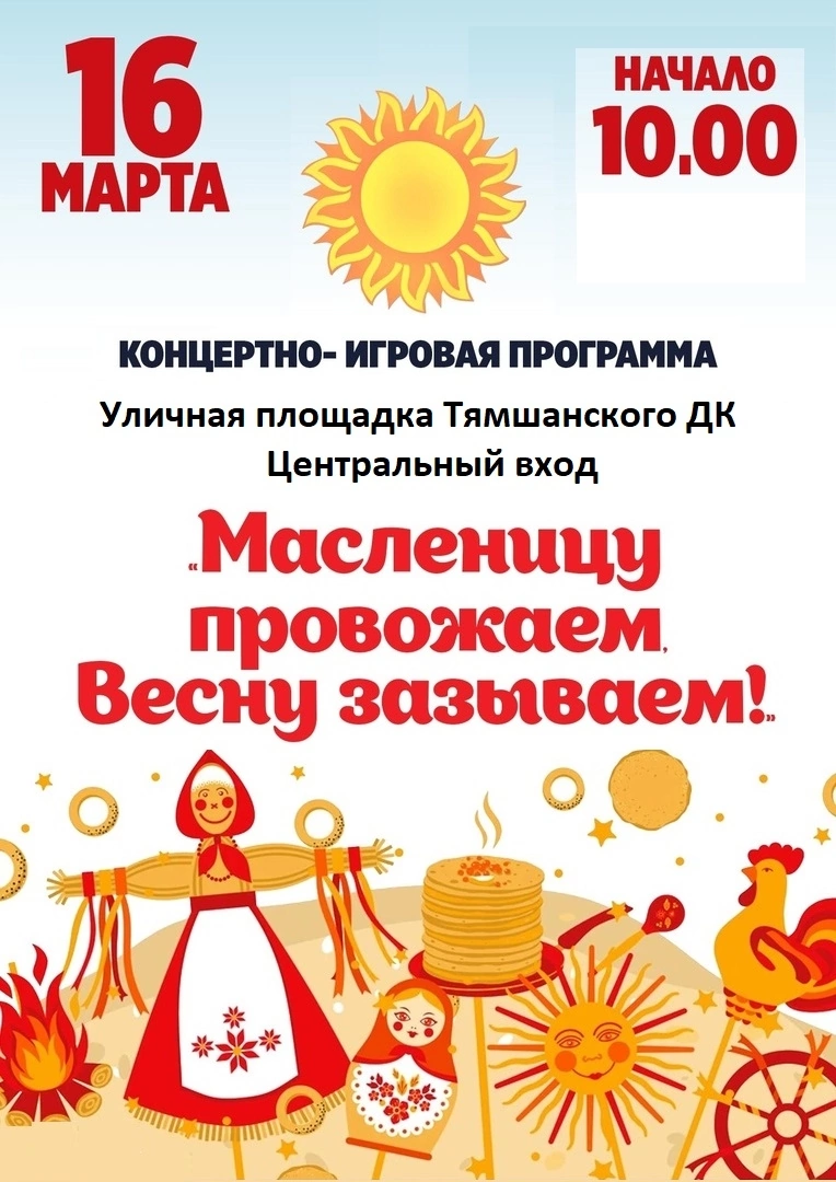 Сообщение наблюдателя — УИК №166, Псковская область