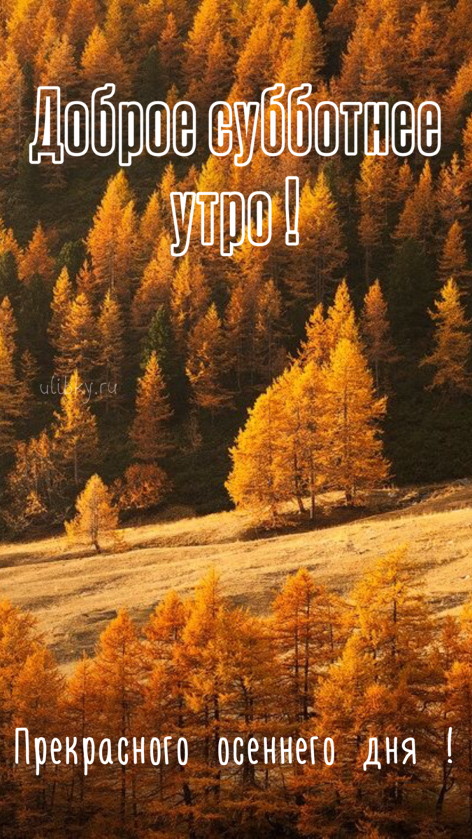Сообщение — УИК №3086, Московская область