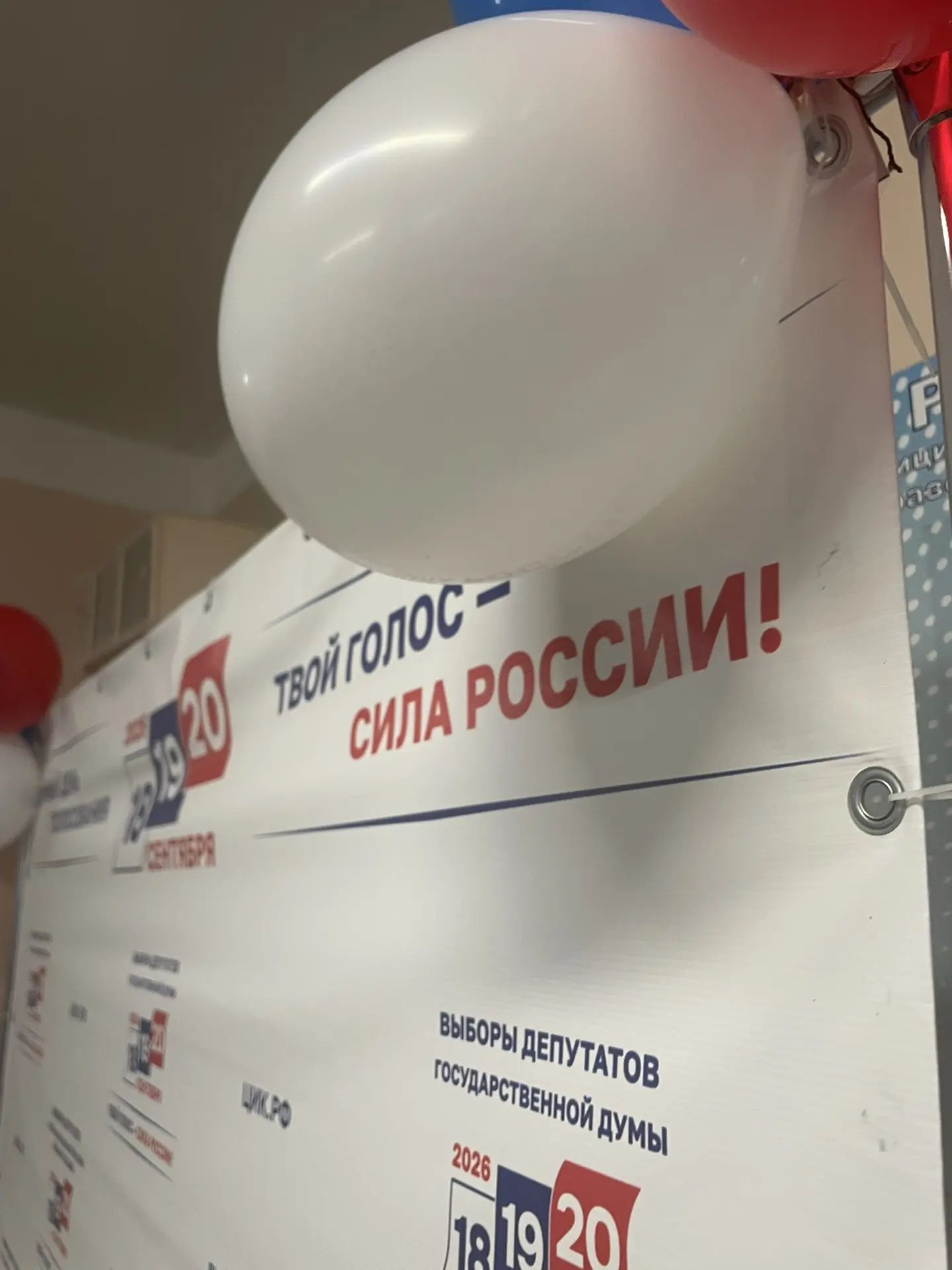Сообщение — УИК №206, Мурманская область