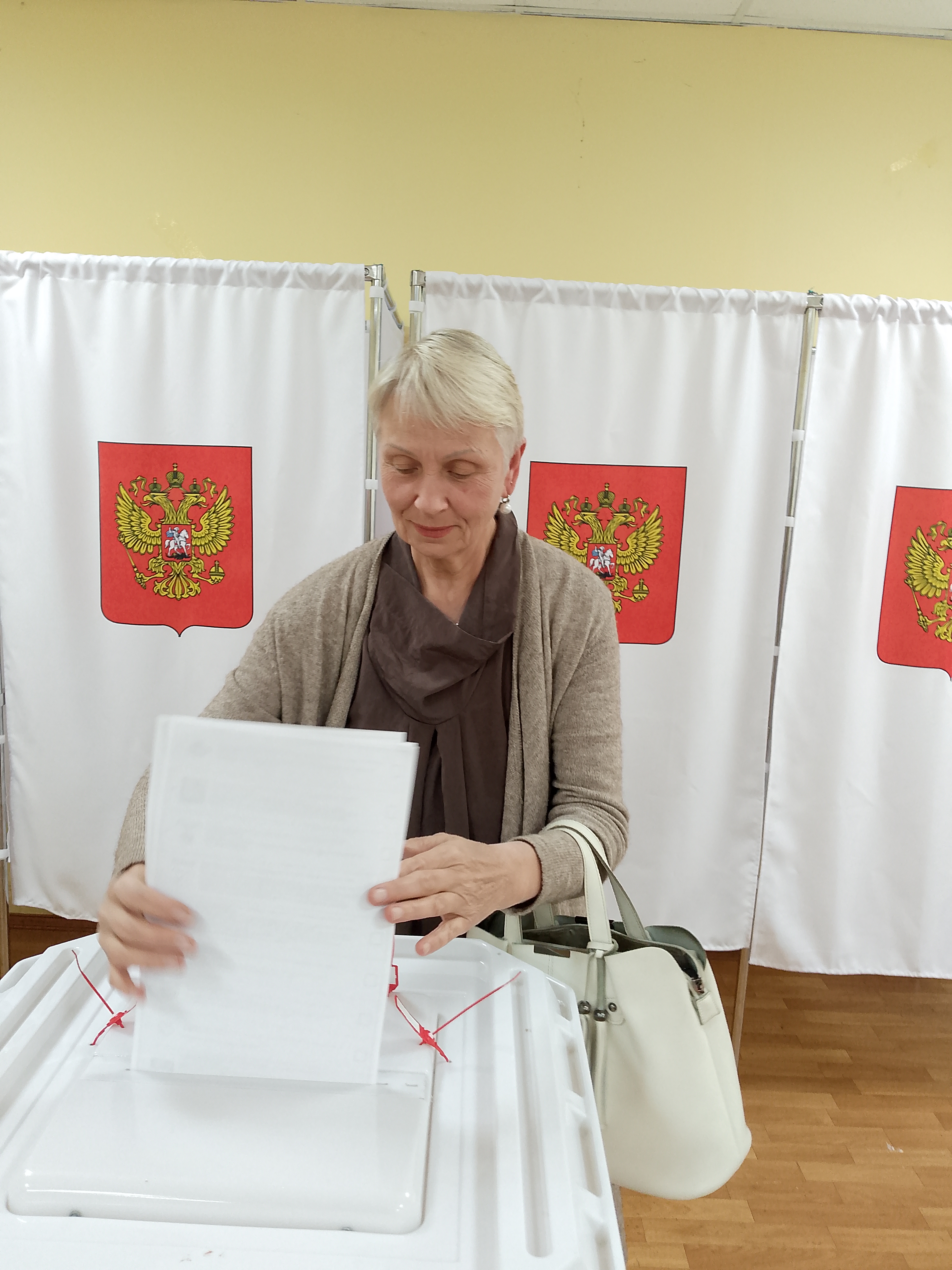 Сообщение — УИК №2206, Московская область