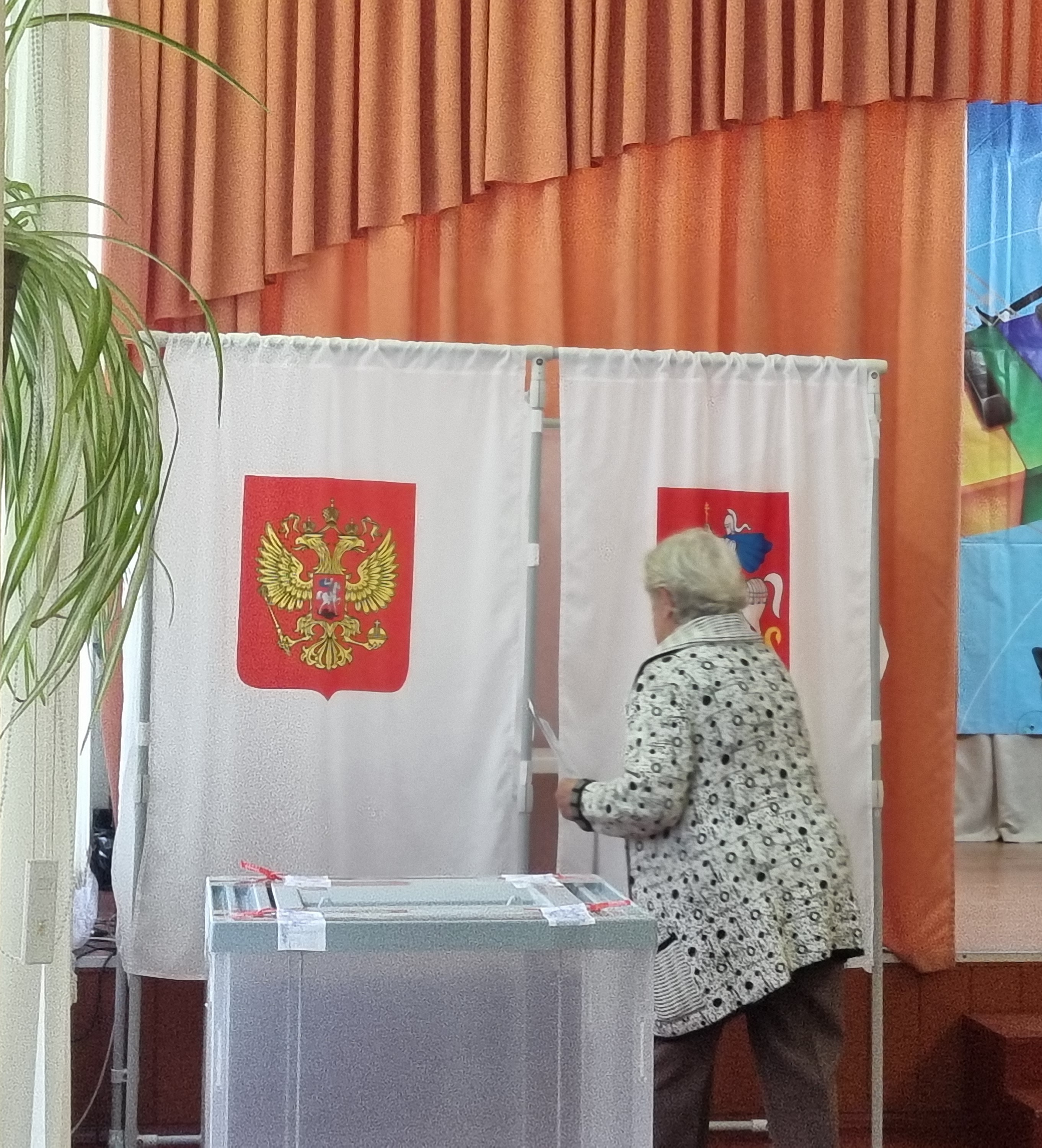 Сообщение — УИК №688, Московская область