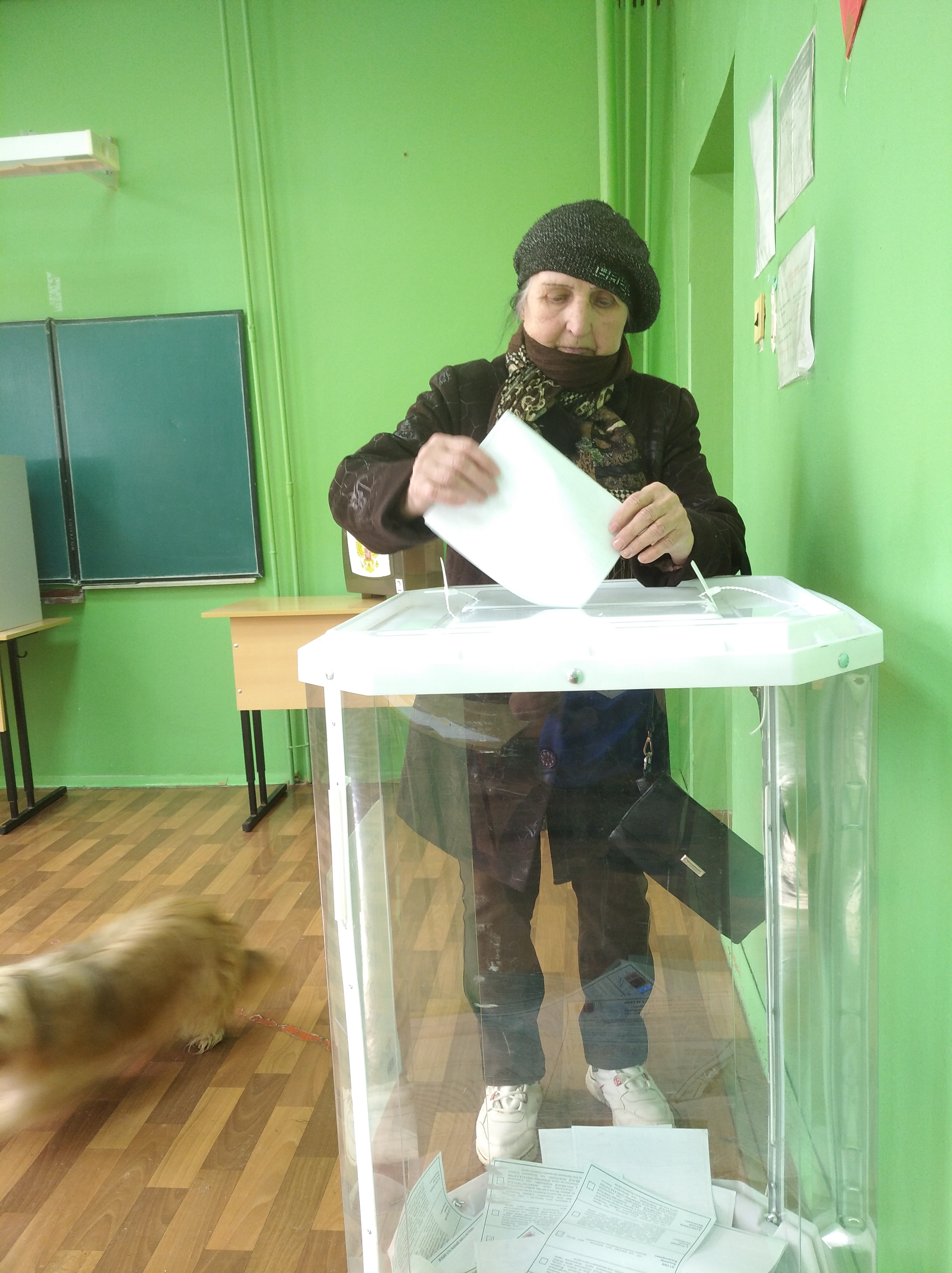Сообщение наблюдателя — УИК №506, Владимирская область