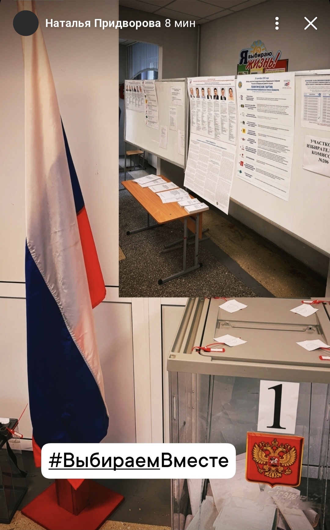 Сообщение — УИК №206, Алтайский край
