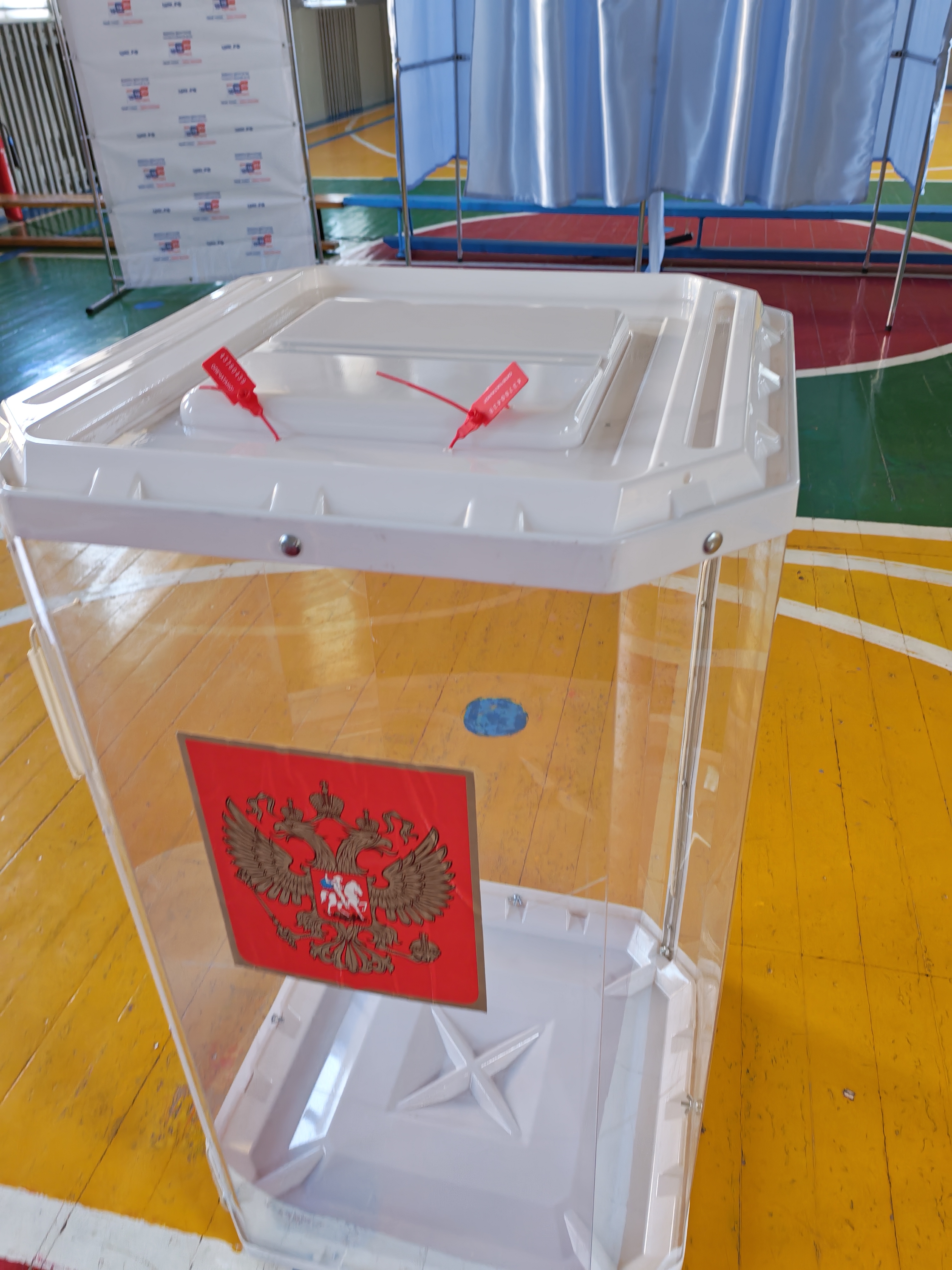 Сообщение — УИК №3405, Воронежская область