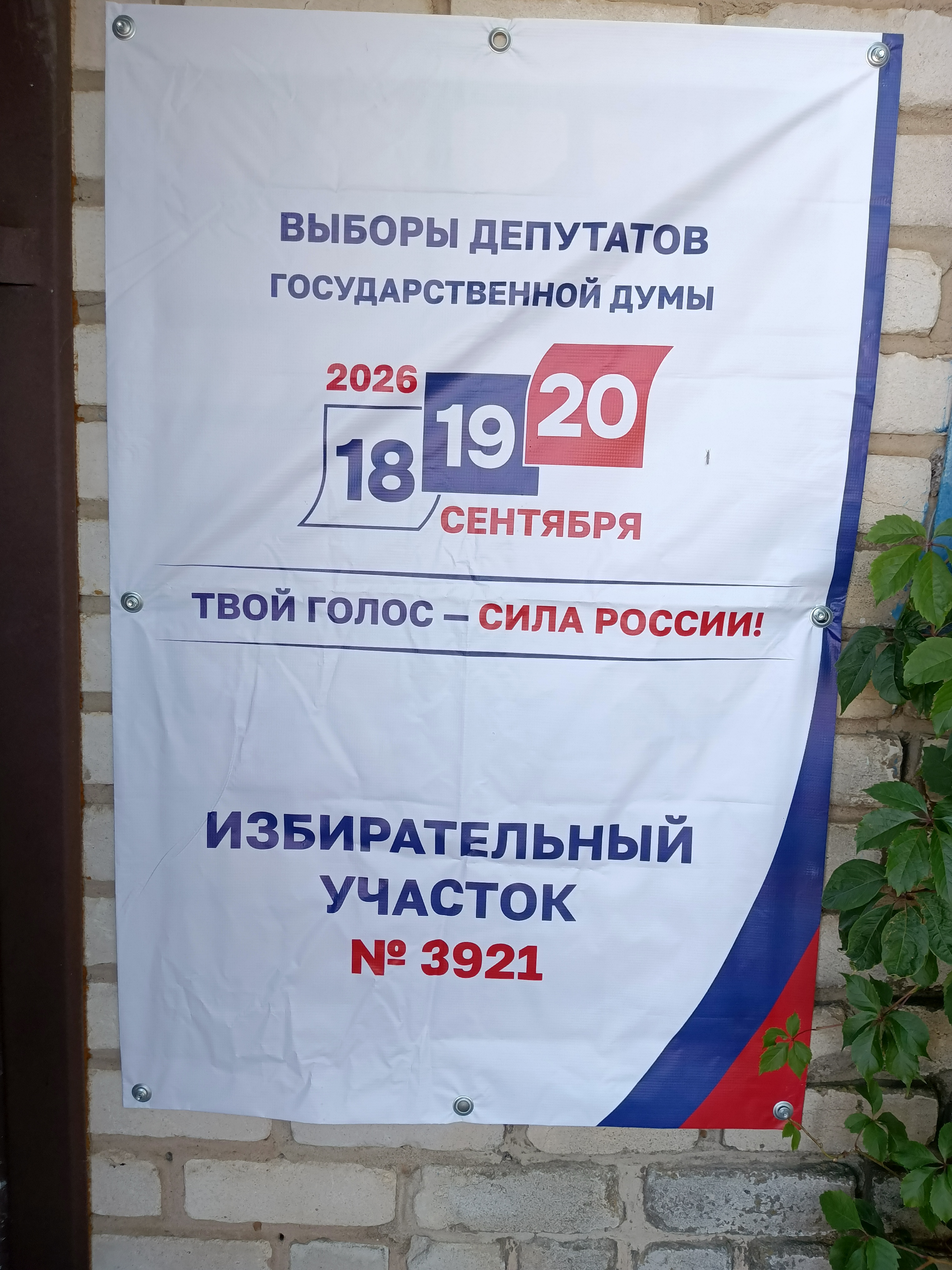 Сообщение — УИК №3921, Волгоградская область