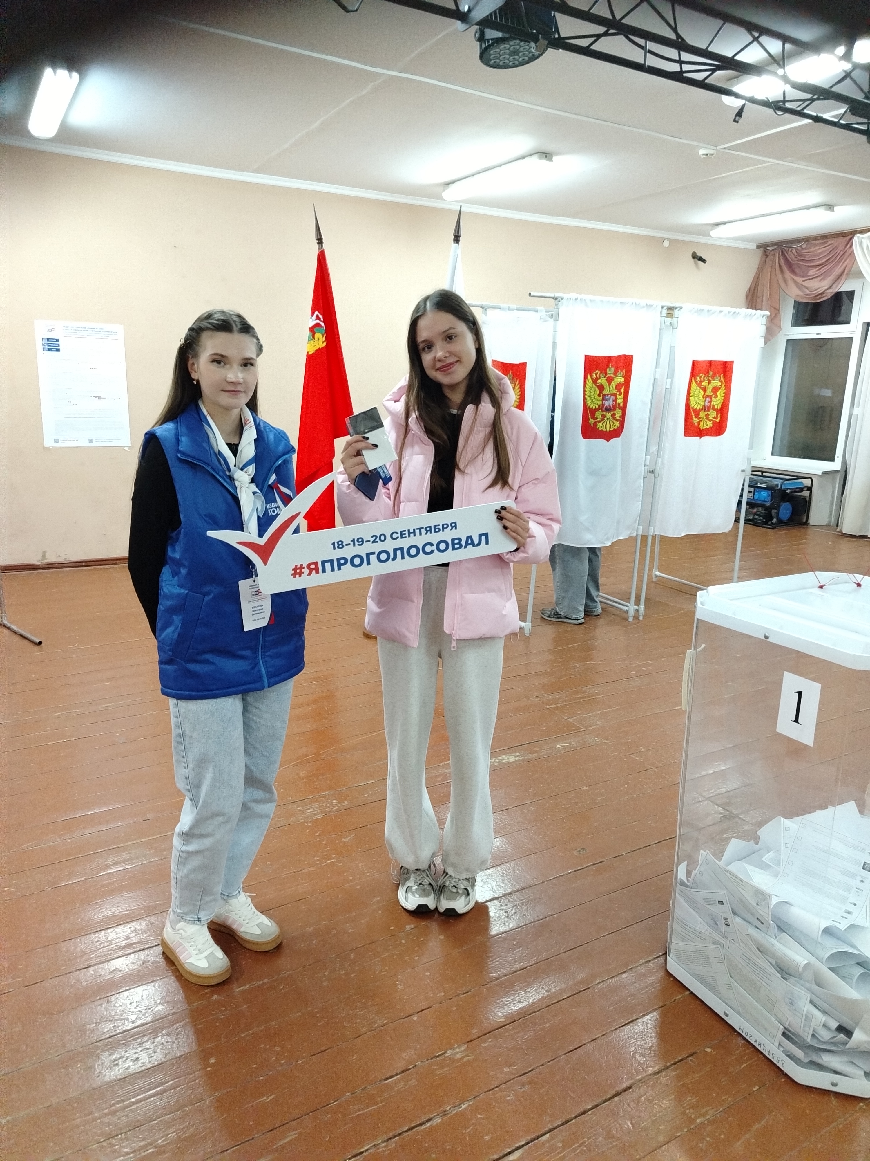 Сообщение — УИК №3376, Московская область