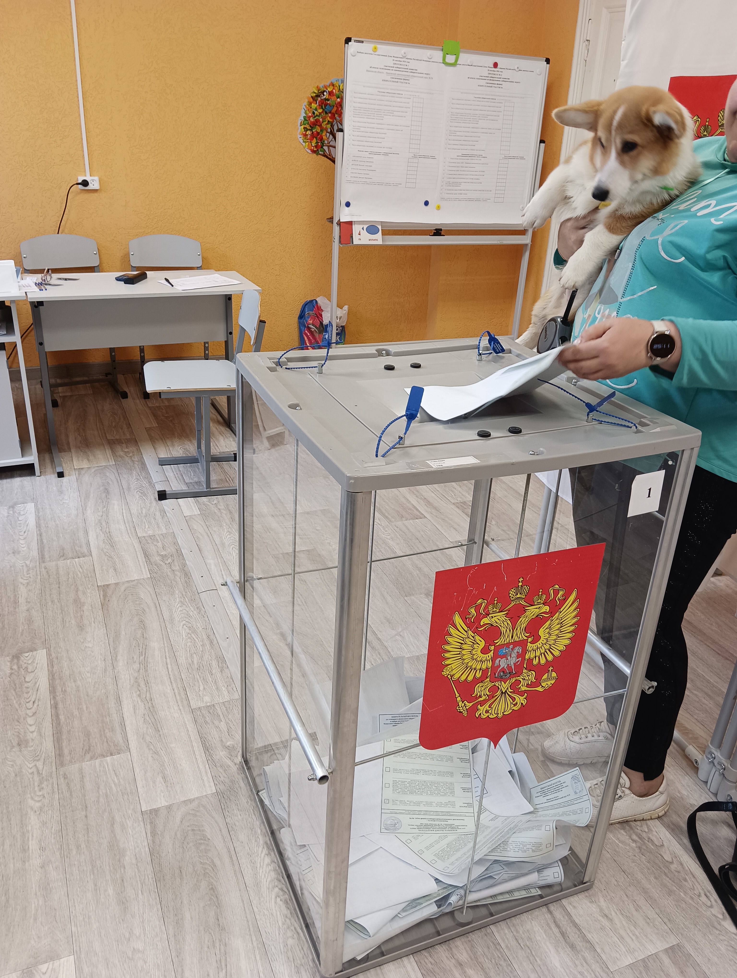 Сообщение — УИК №285, Ивановская область