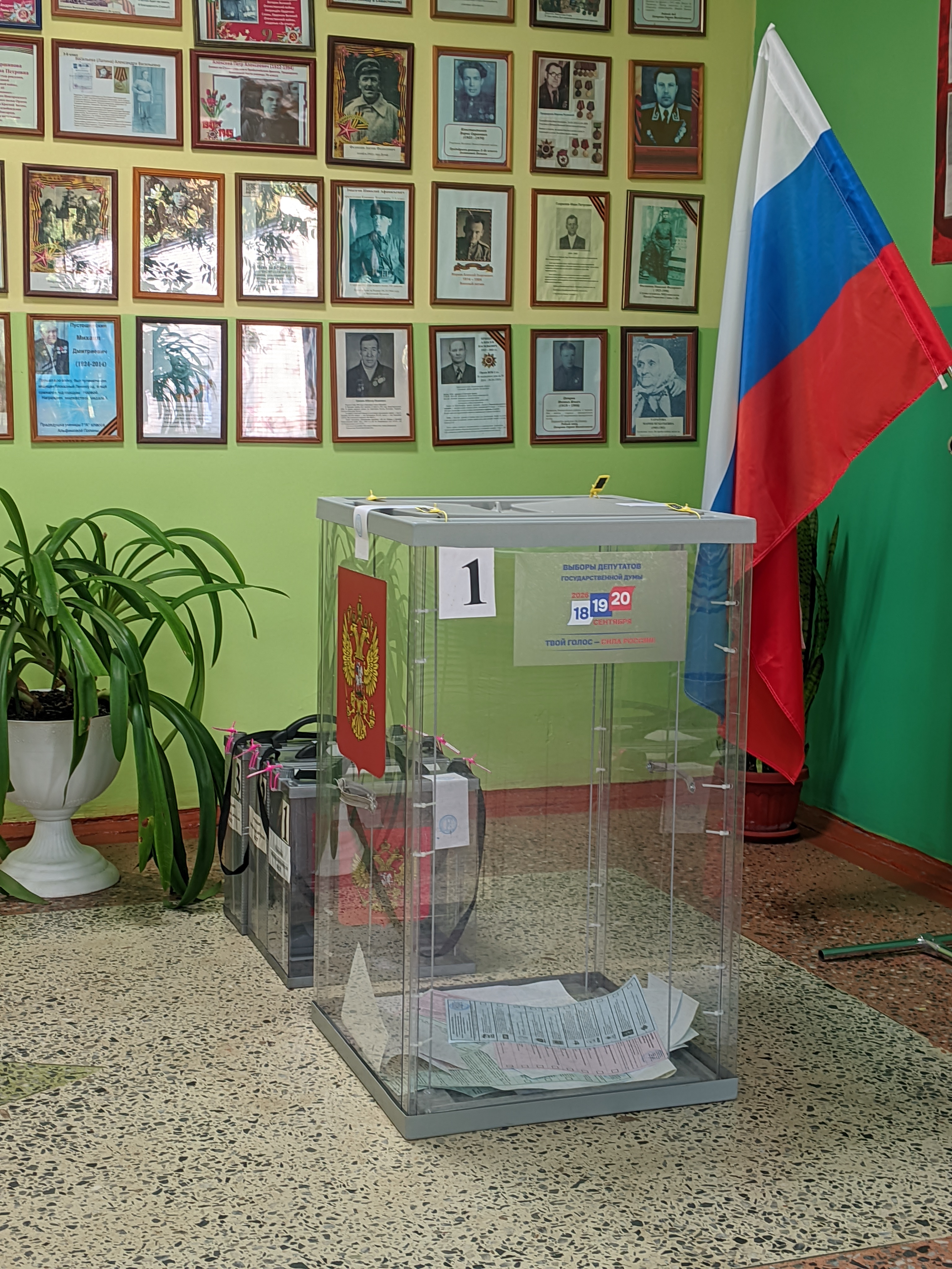Сообщение — УИК №1217, Новгородская область