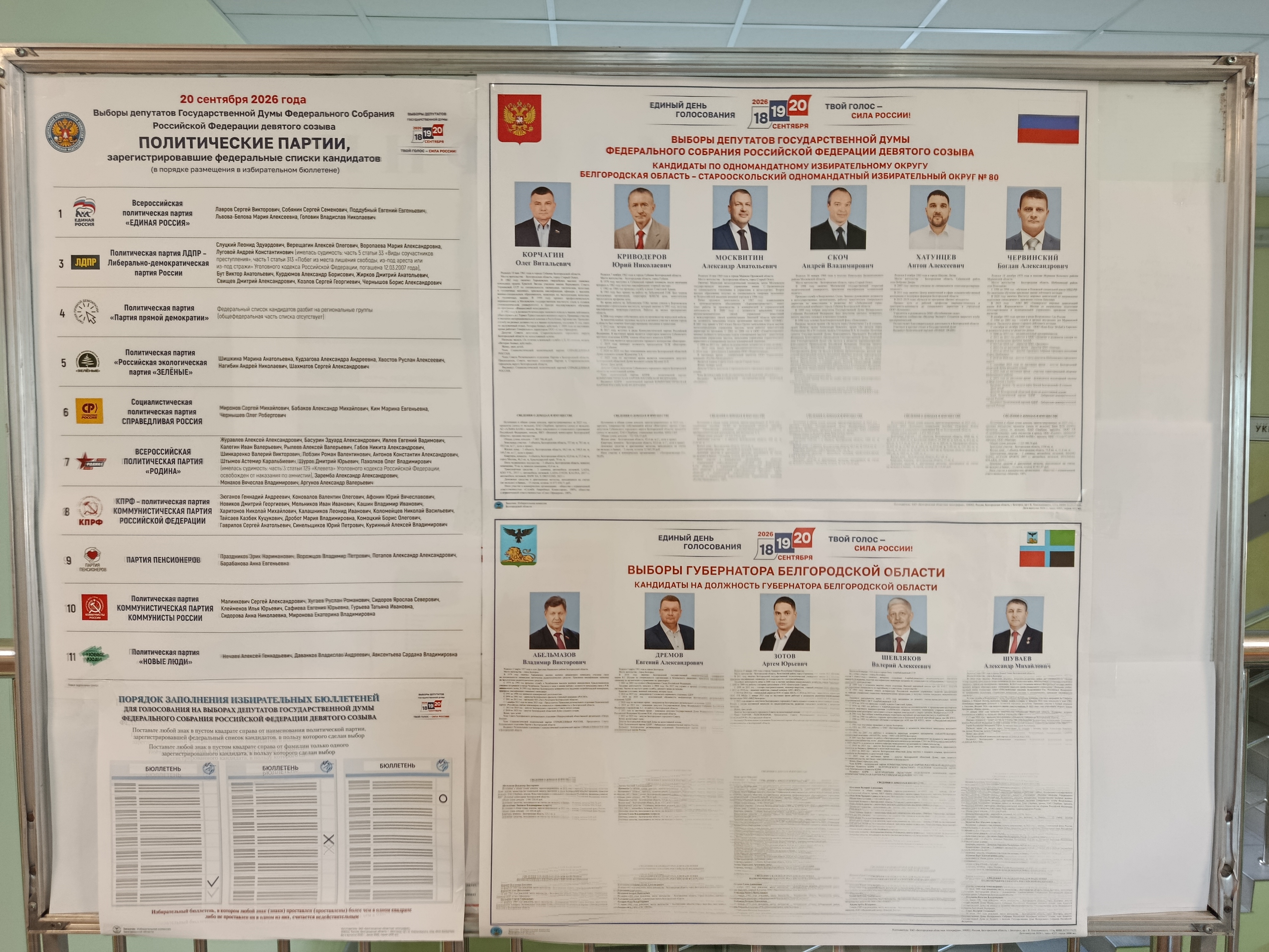 Сообщение — УИК №5, Белгородская область